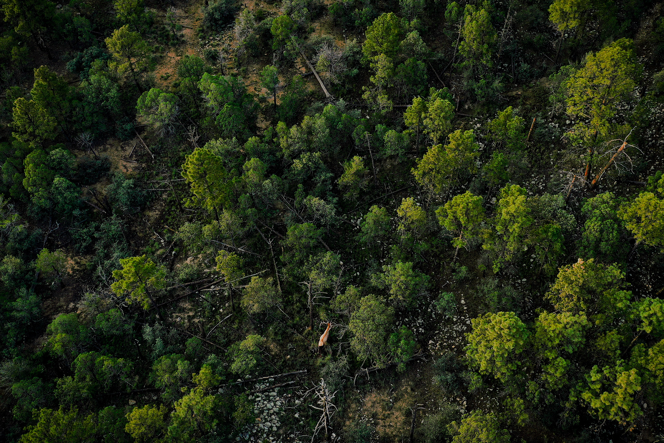 Land and Property for Sale - Hayden Outdoors