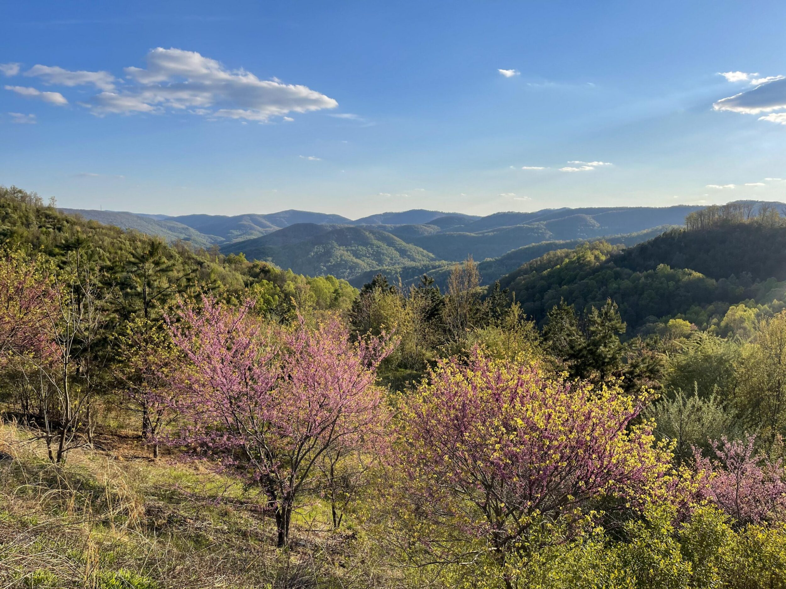 Elk Valley Campbell County, TN Hayden Outdoors