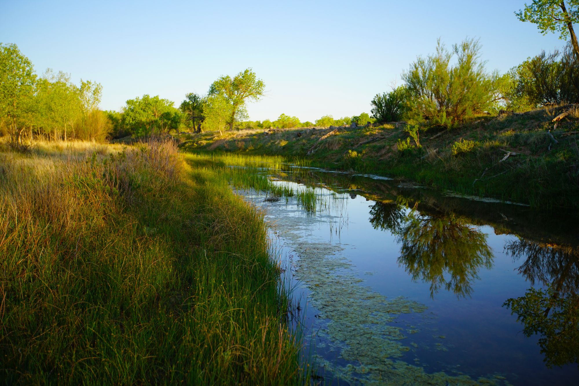 Cimarron Valley Ranch Baca County, Colorado Hayden Outdoors