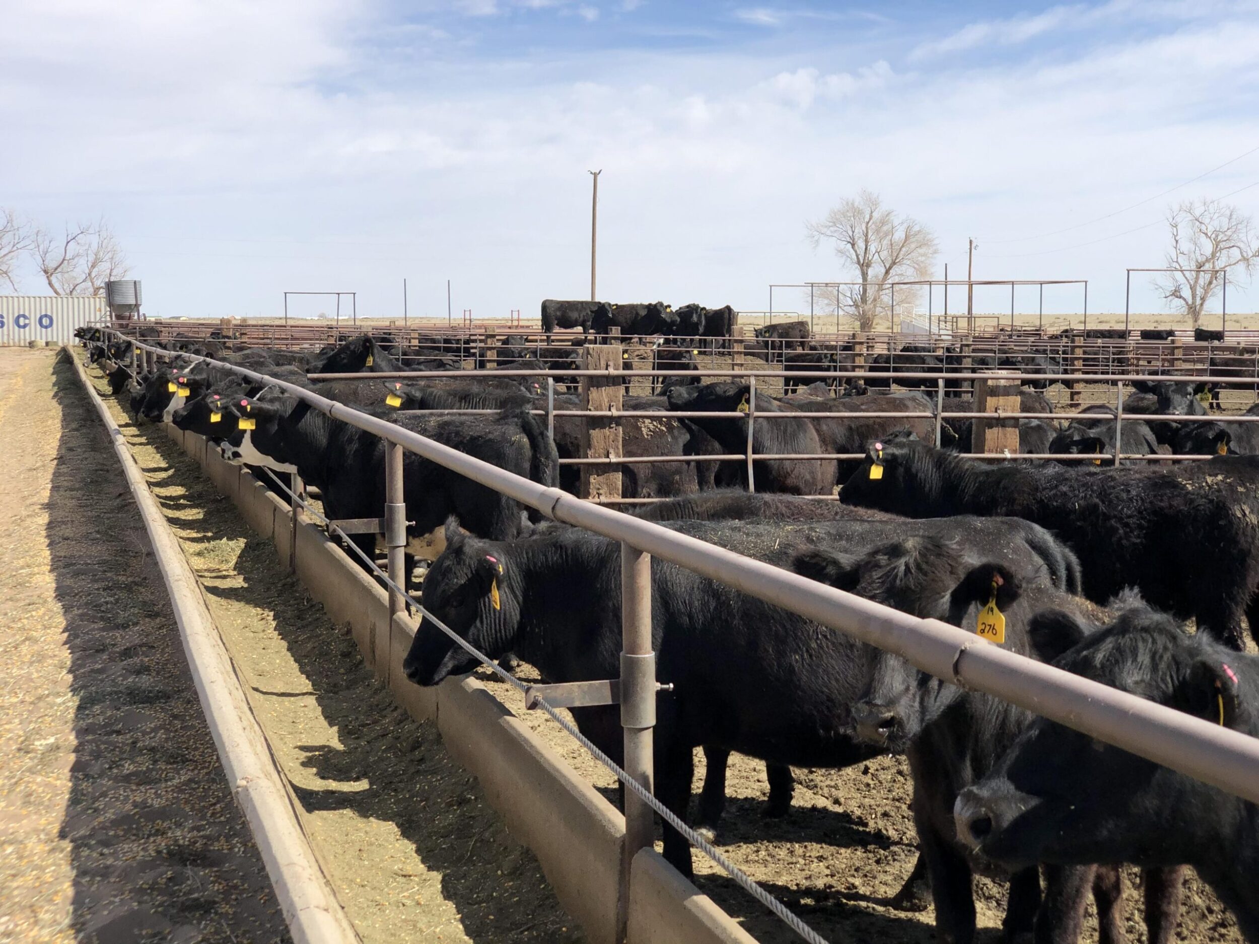 Fowler Feed Yard, Grass and Home Hayden Outdoors