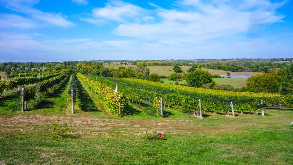 WindCrest Winery Hayden Outdoors