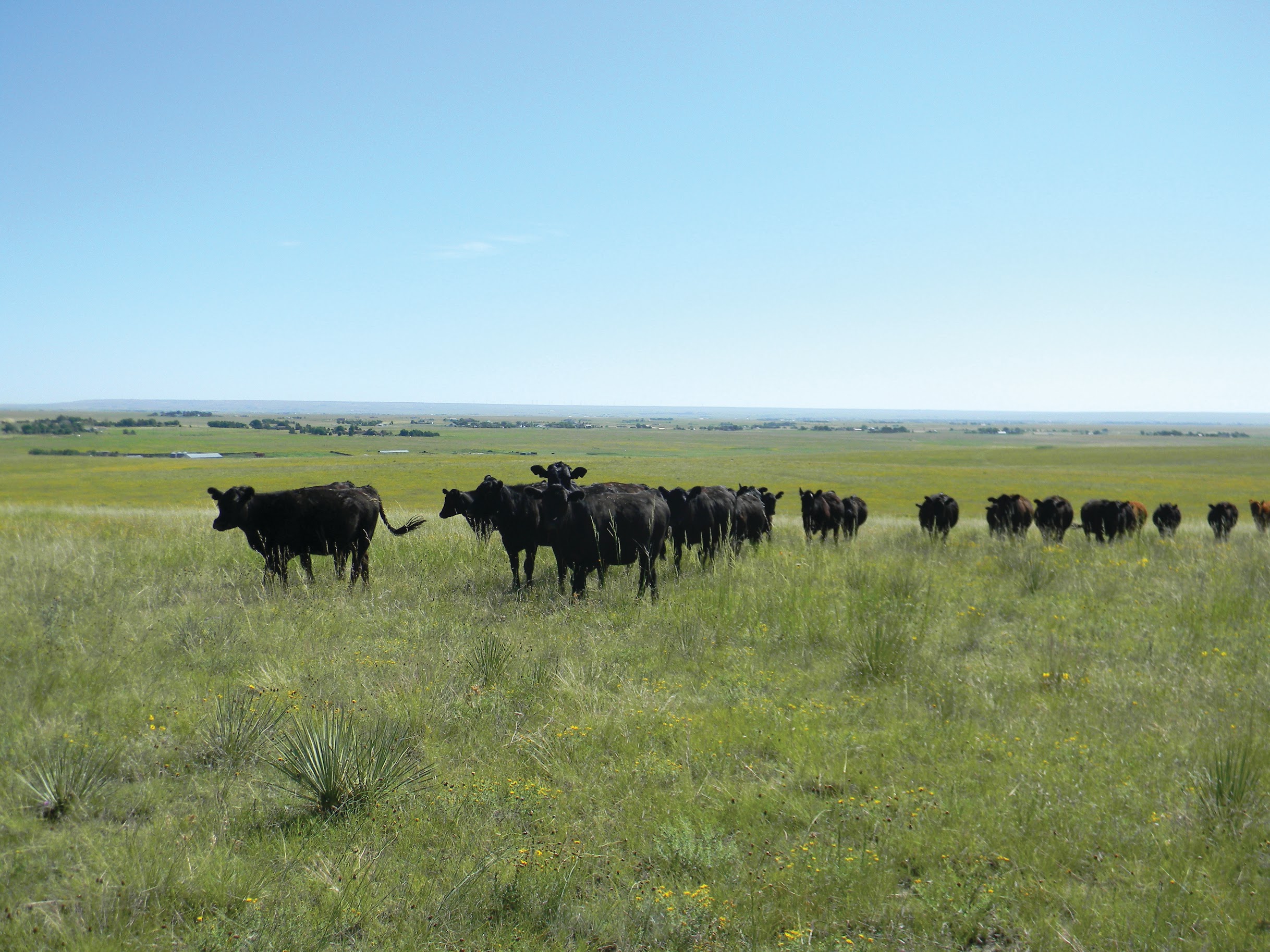 Ververs Ranch | Hayden Outdoors