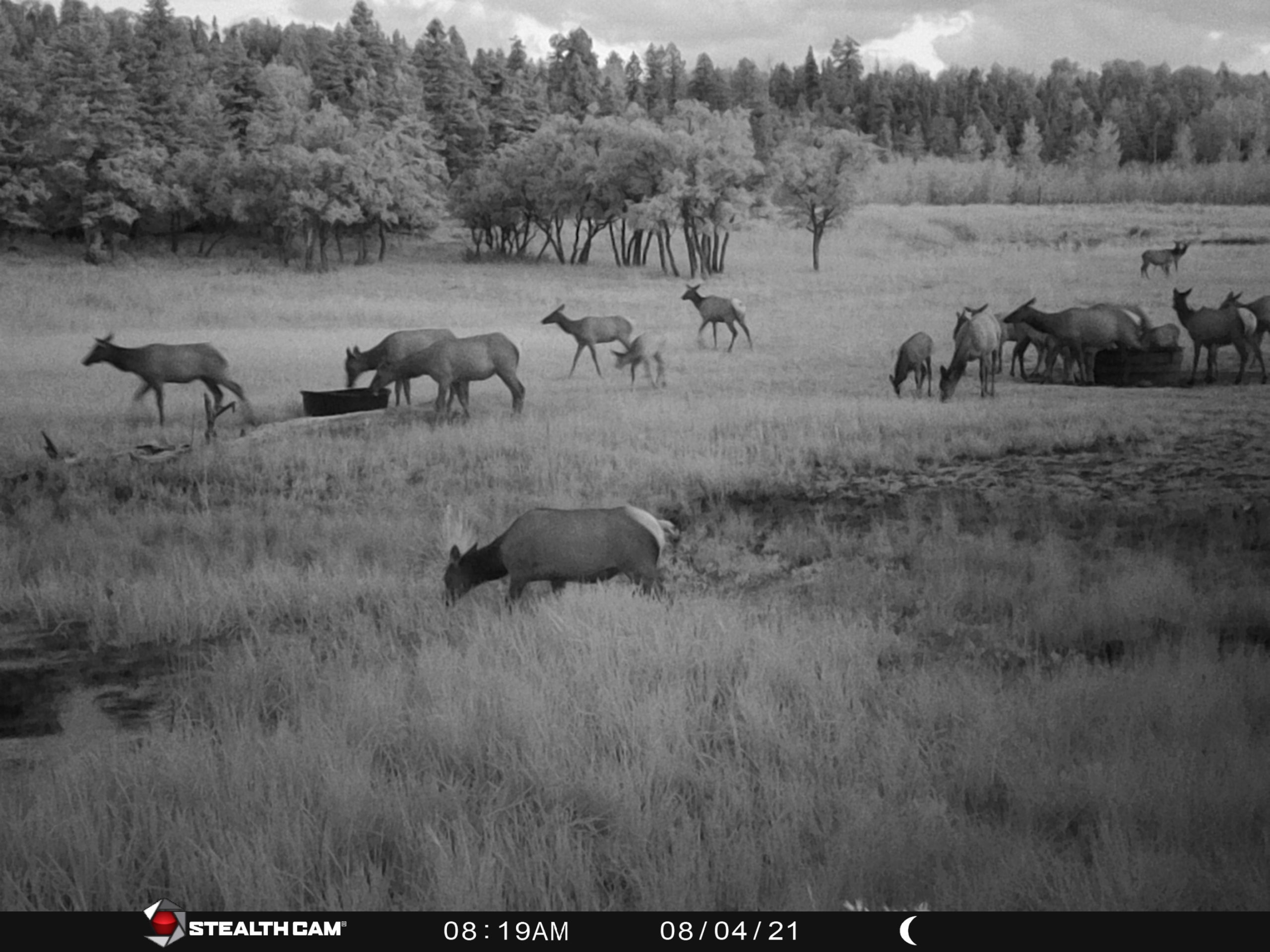 South San Juan Basin Ranch Hayden Outdoors