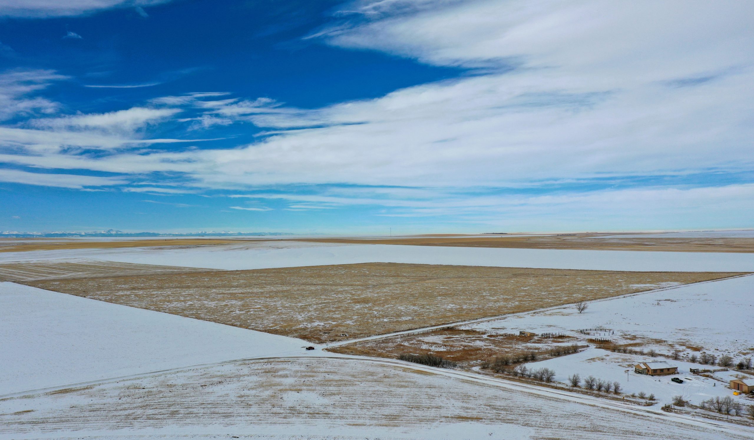 Hayden adams louisiana (83) 사진