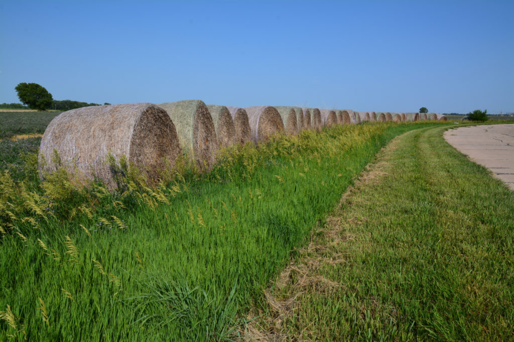 The Splendid Ottawa County Farm & Ranch Hayden Outdoors