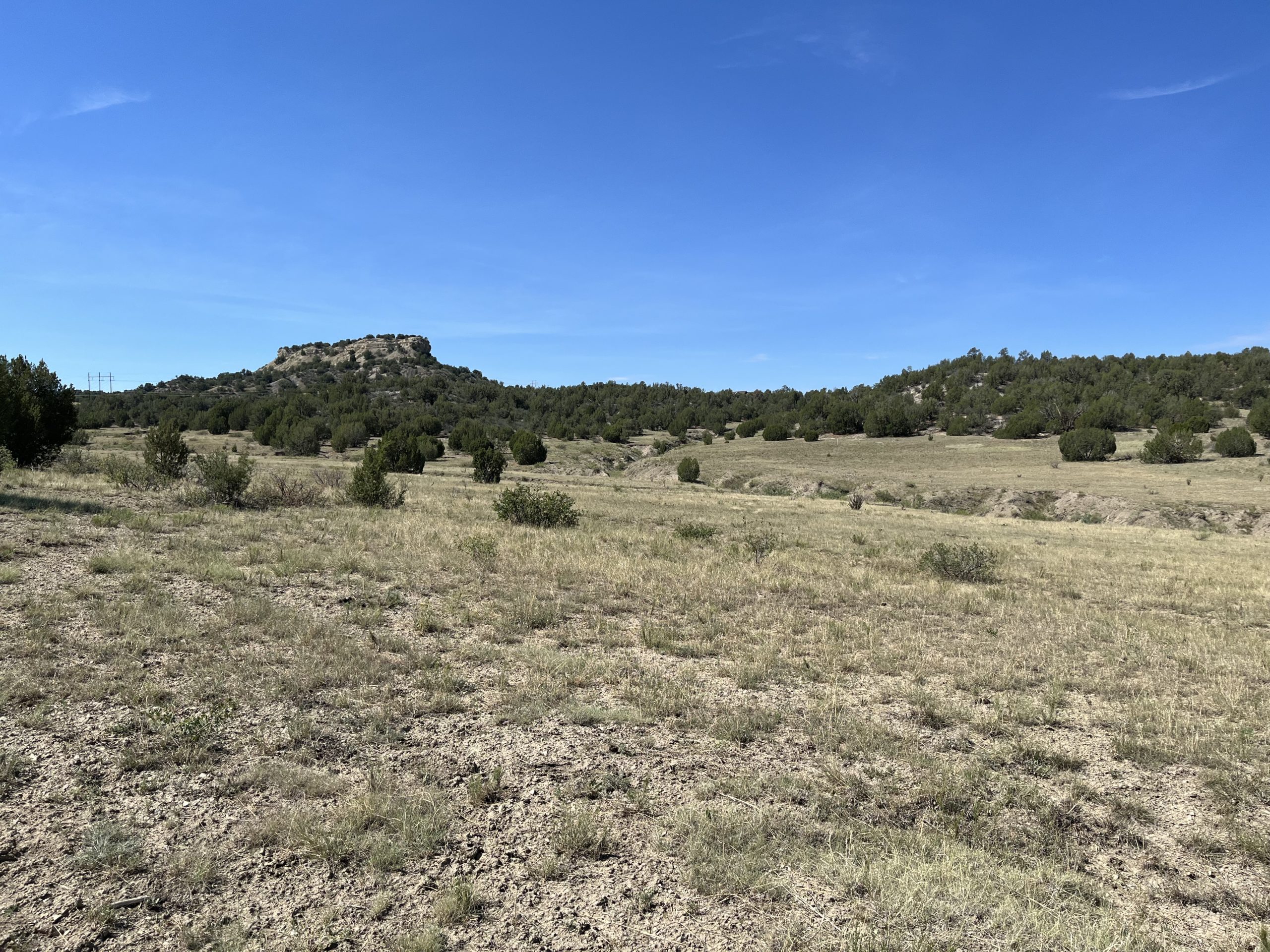 Pine Bluff at Hatchet Ranch | Hayden Outdoors