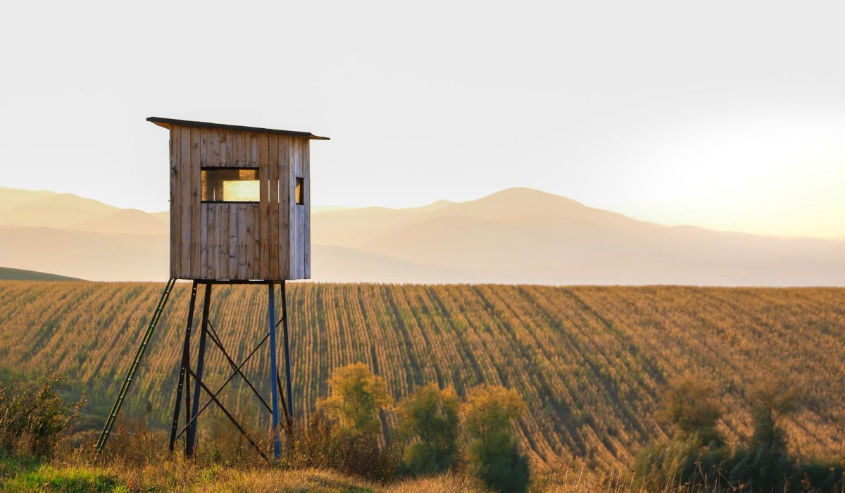 hunting stand on hunting land