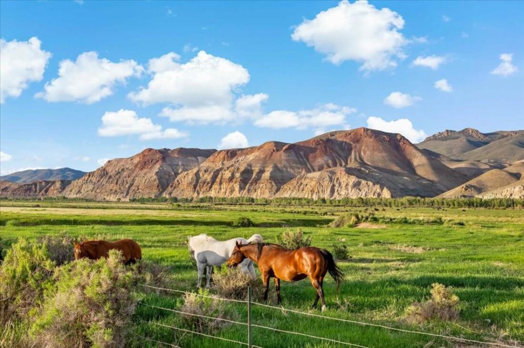  Horse-Ranch-Montana