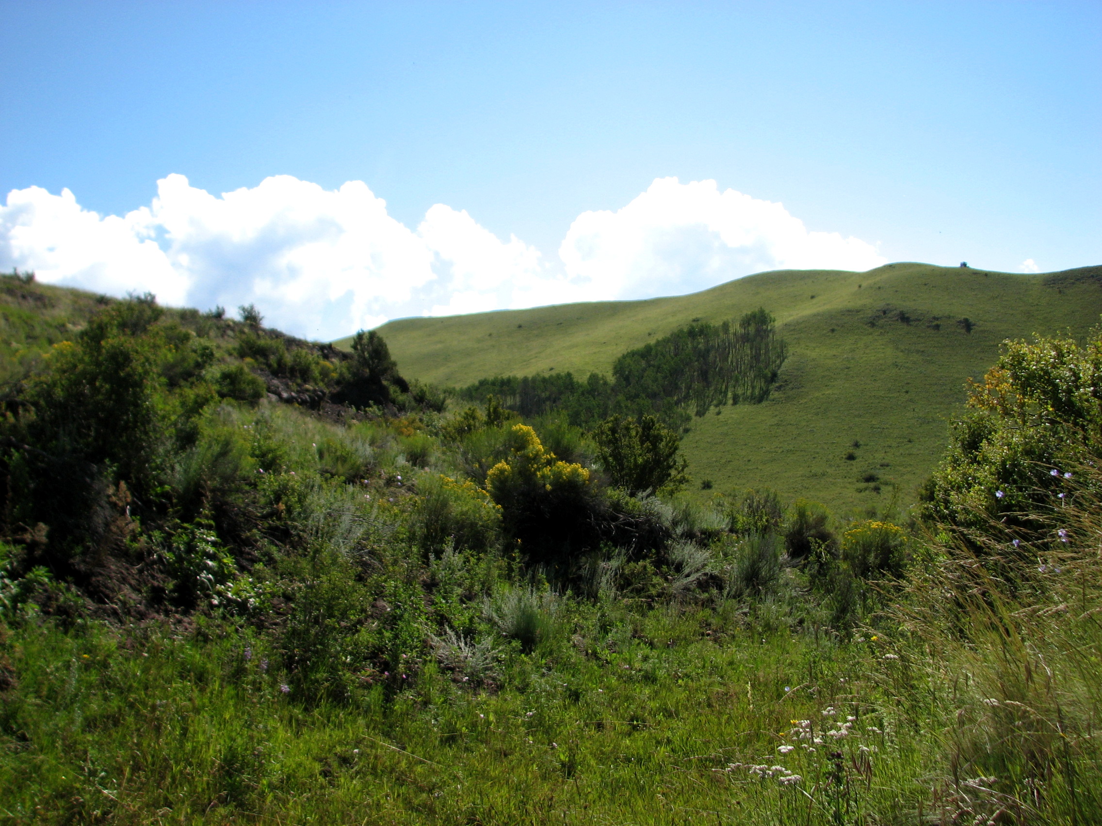 Corlett Ridge Scarlett Ridge | Hayden Outdoors