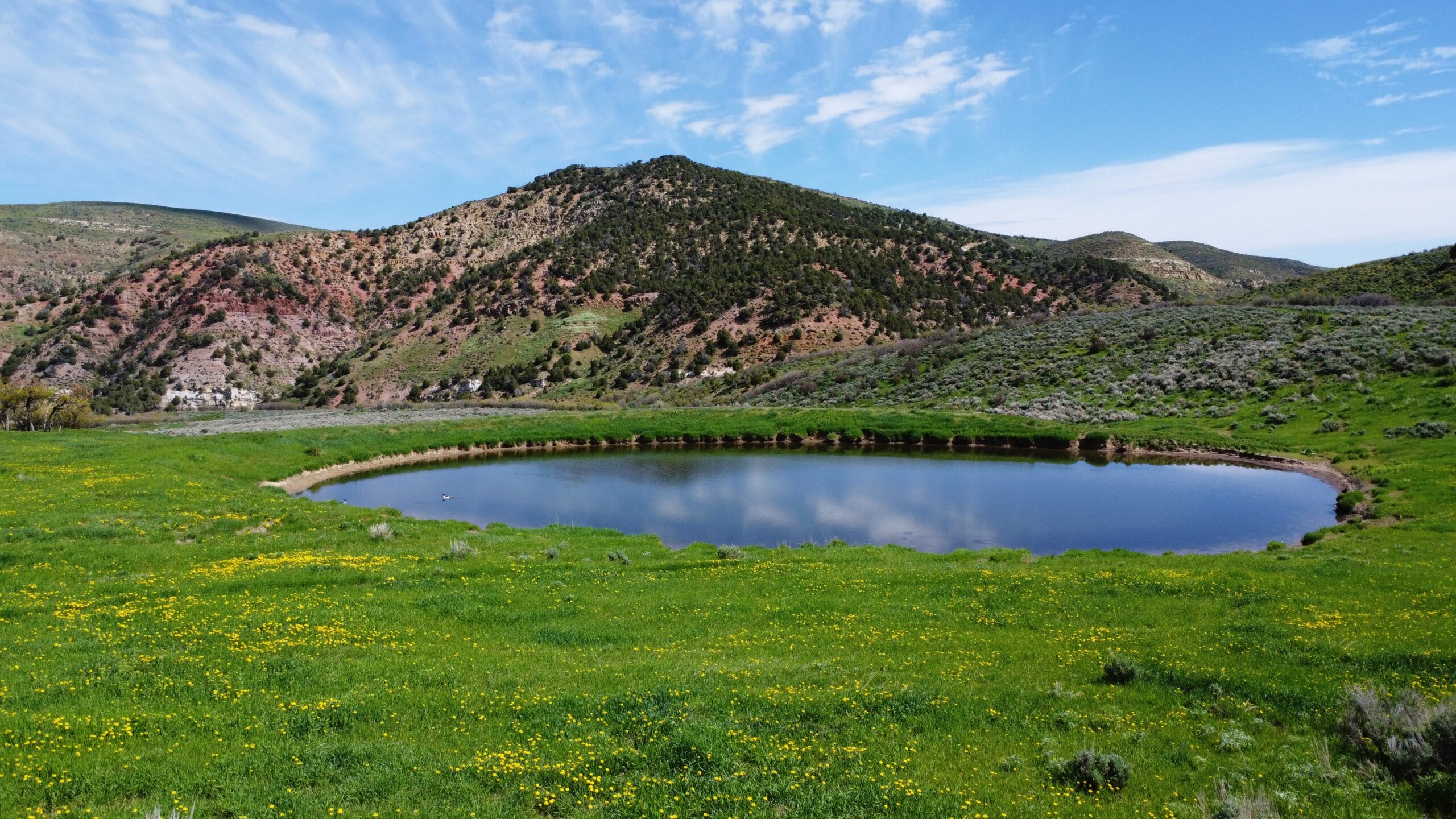 Loaded Elk Ranch | Hayden Outdoors