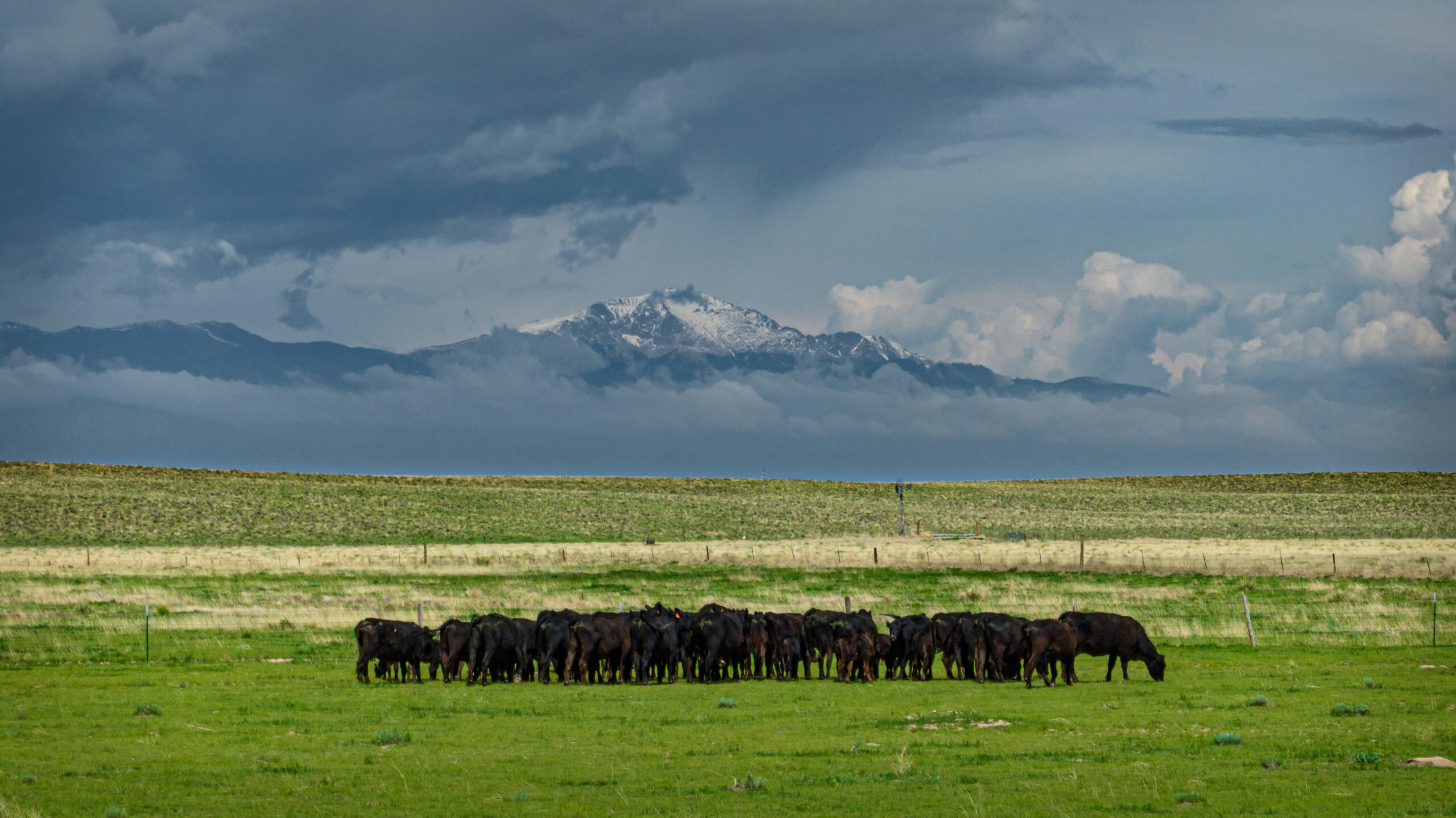 tee cross ranch in colorado springs colorado ranches for sale