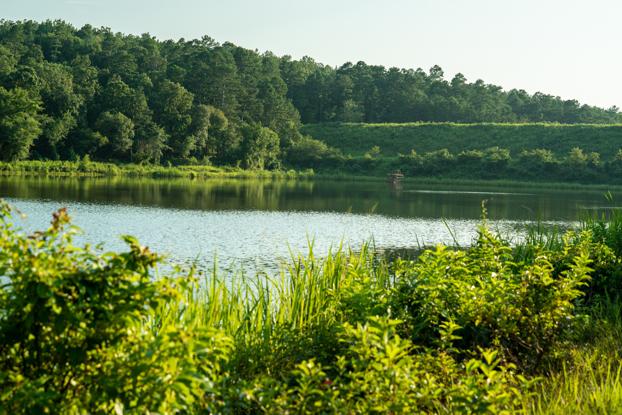 Pilot Mountain Lake in Scott County, Arkansas.