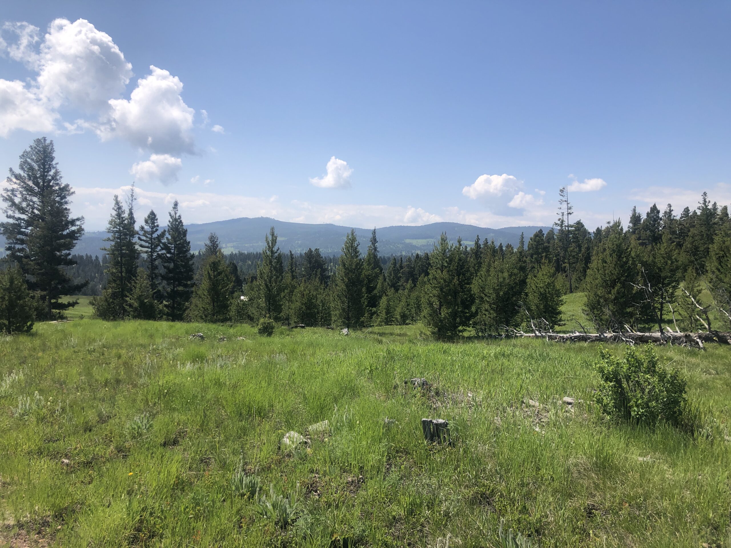 Tract 2 Moose Springs | Hayden Outdoors
