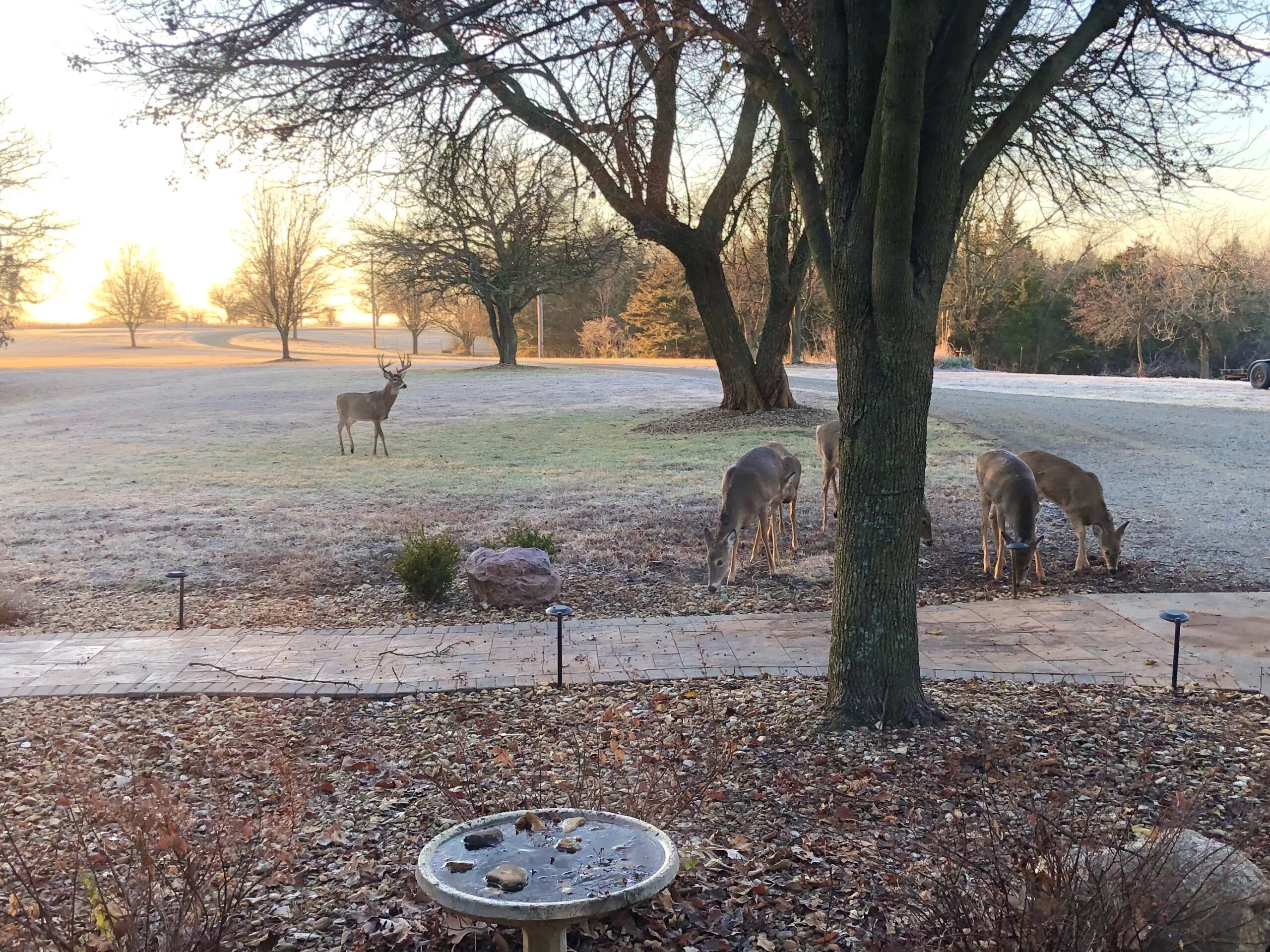 Little Soldier Creek Farm and Hunt | Hayden Outdoors