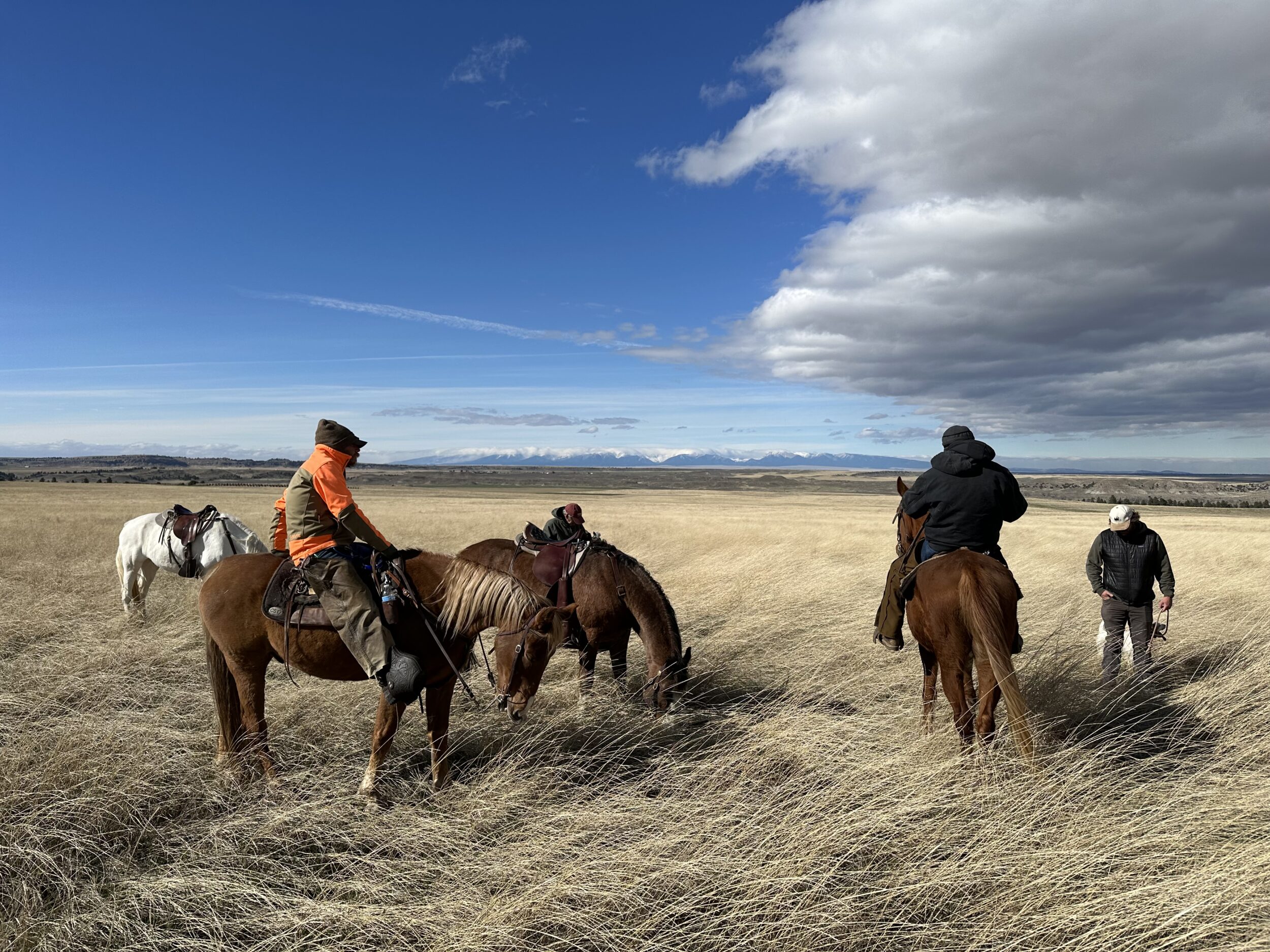 Table Rock Ranch | Hayden Outdoors
