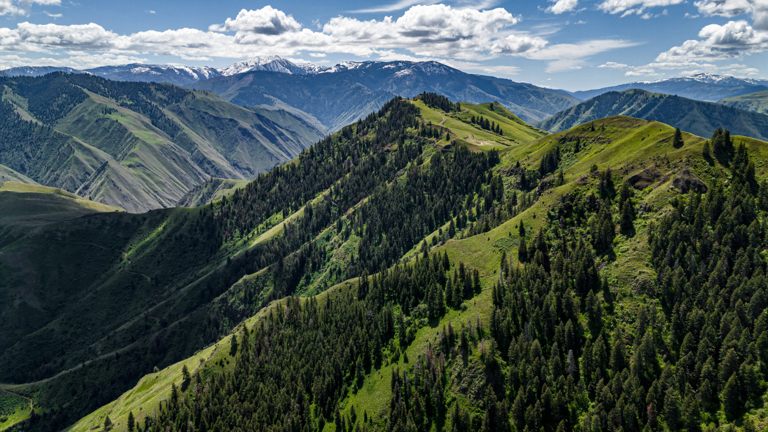 Race Creek Ranch in Riggins, Idaho ranches for sale