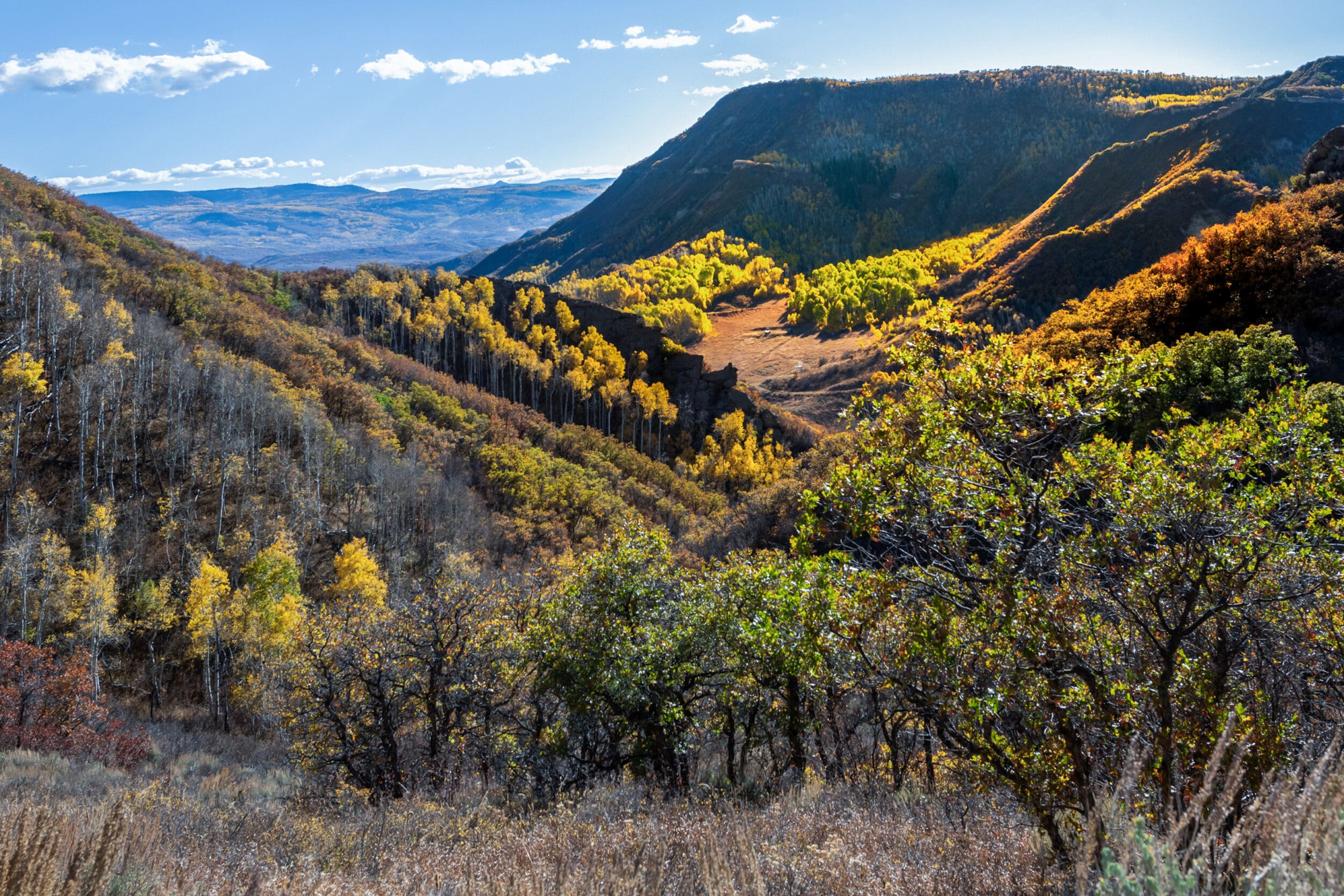 Springer Ranch in Routt County, Colorado ranches for sale