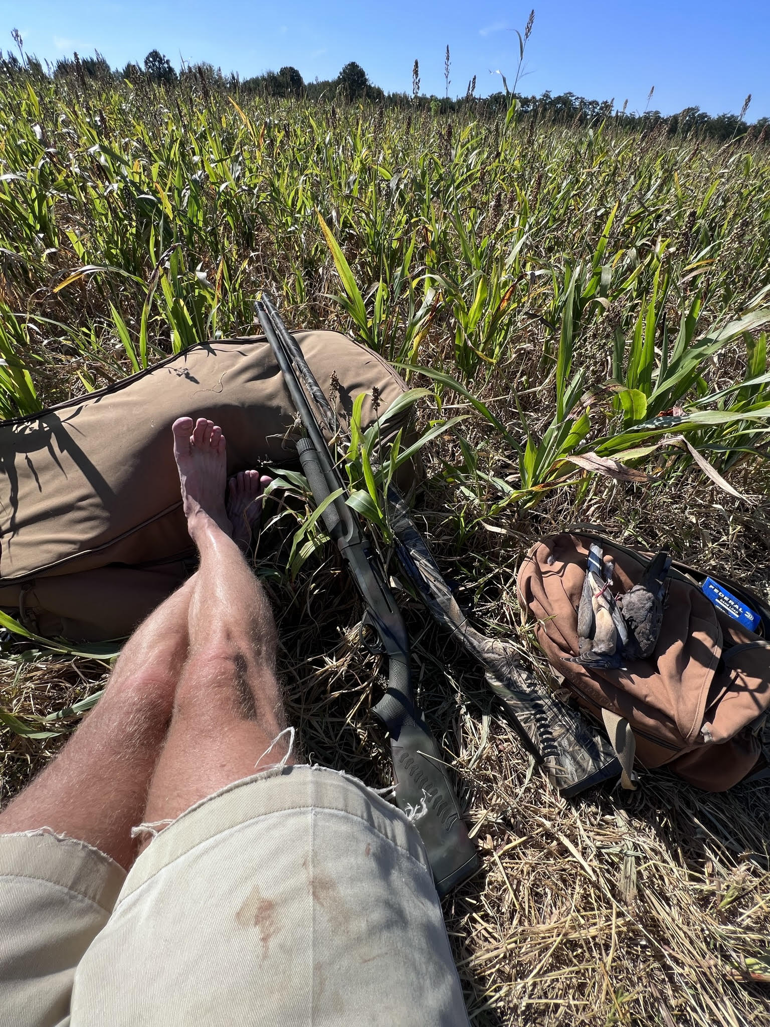 heath thompson dove hunting