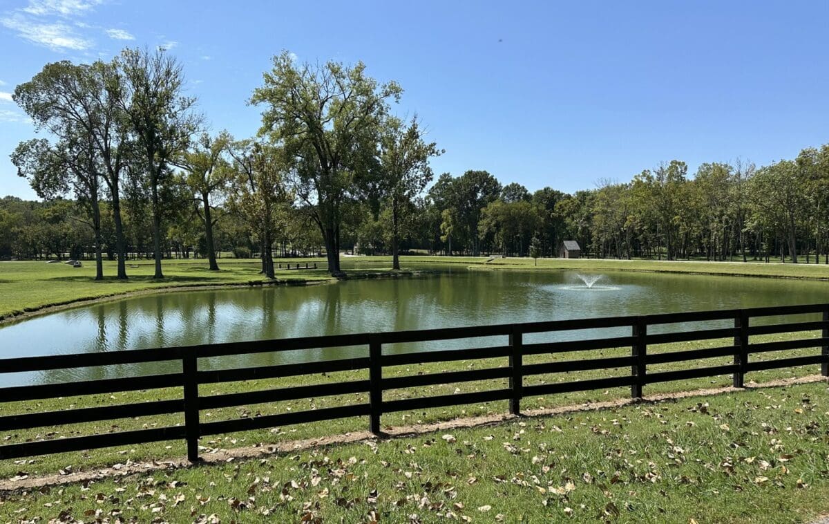 Pat recommends the clean look of a black or white wood post and rail fence.