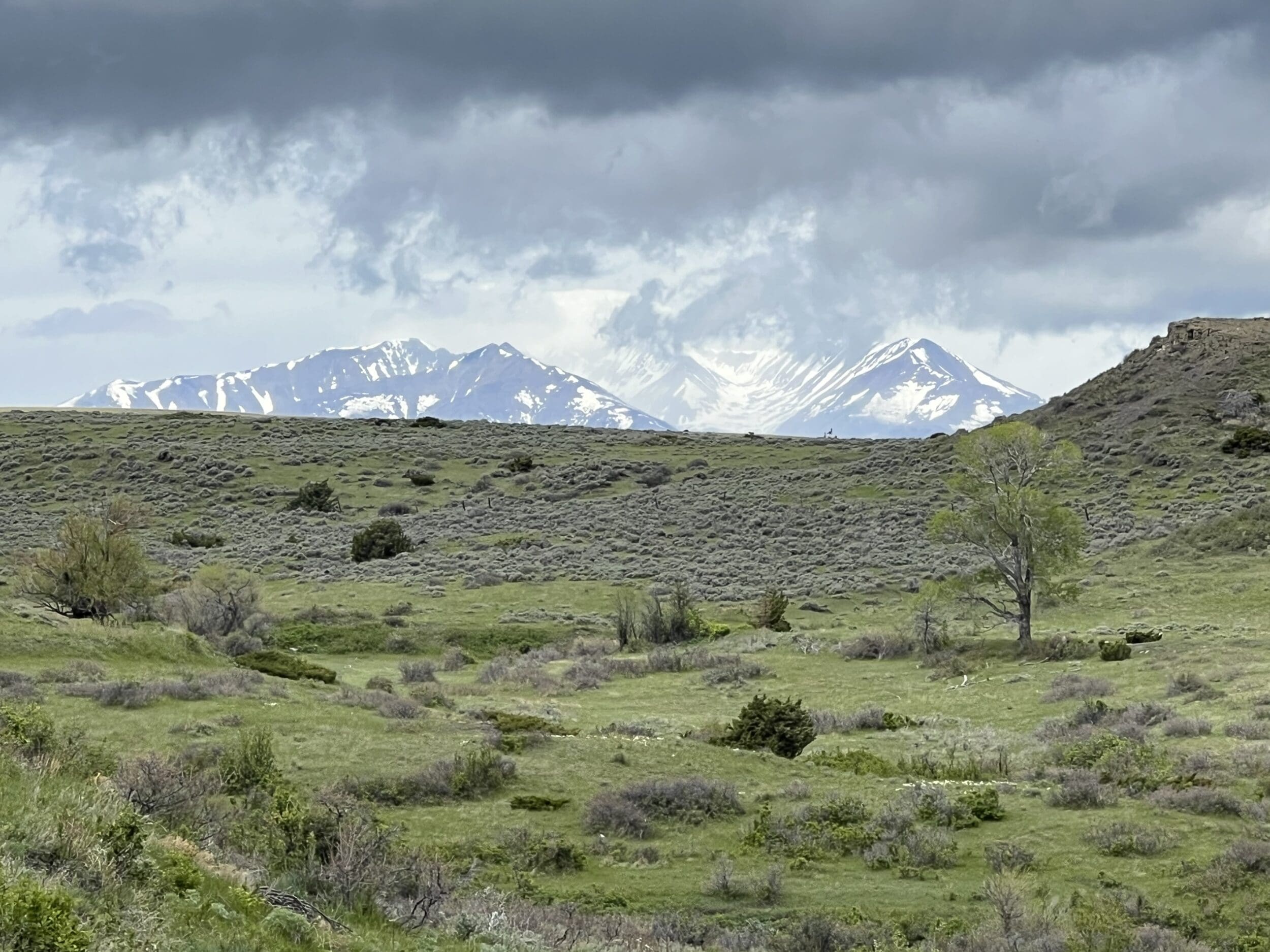 Cross M Ranch in Sweet Grass County, Montana ranches for sale