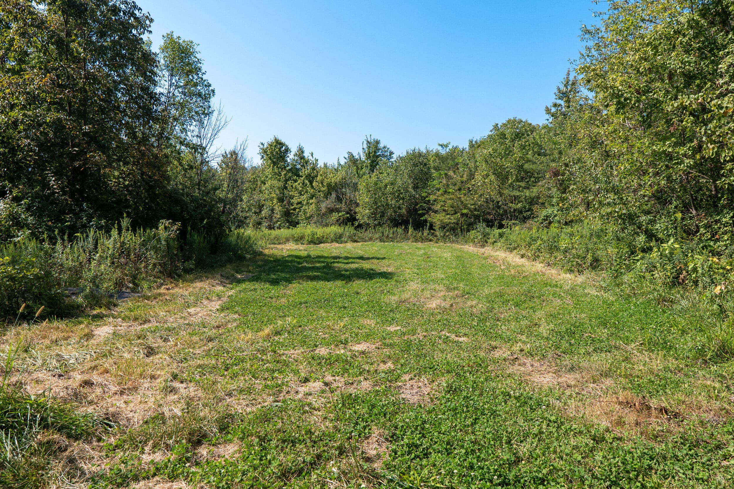 Tract 3 Clay County | Hayden Outdoors