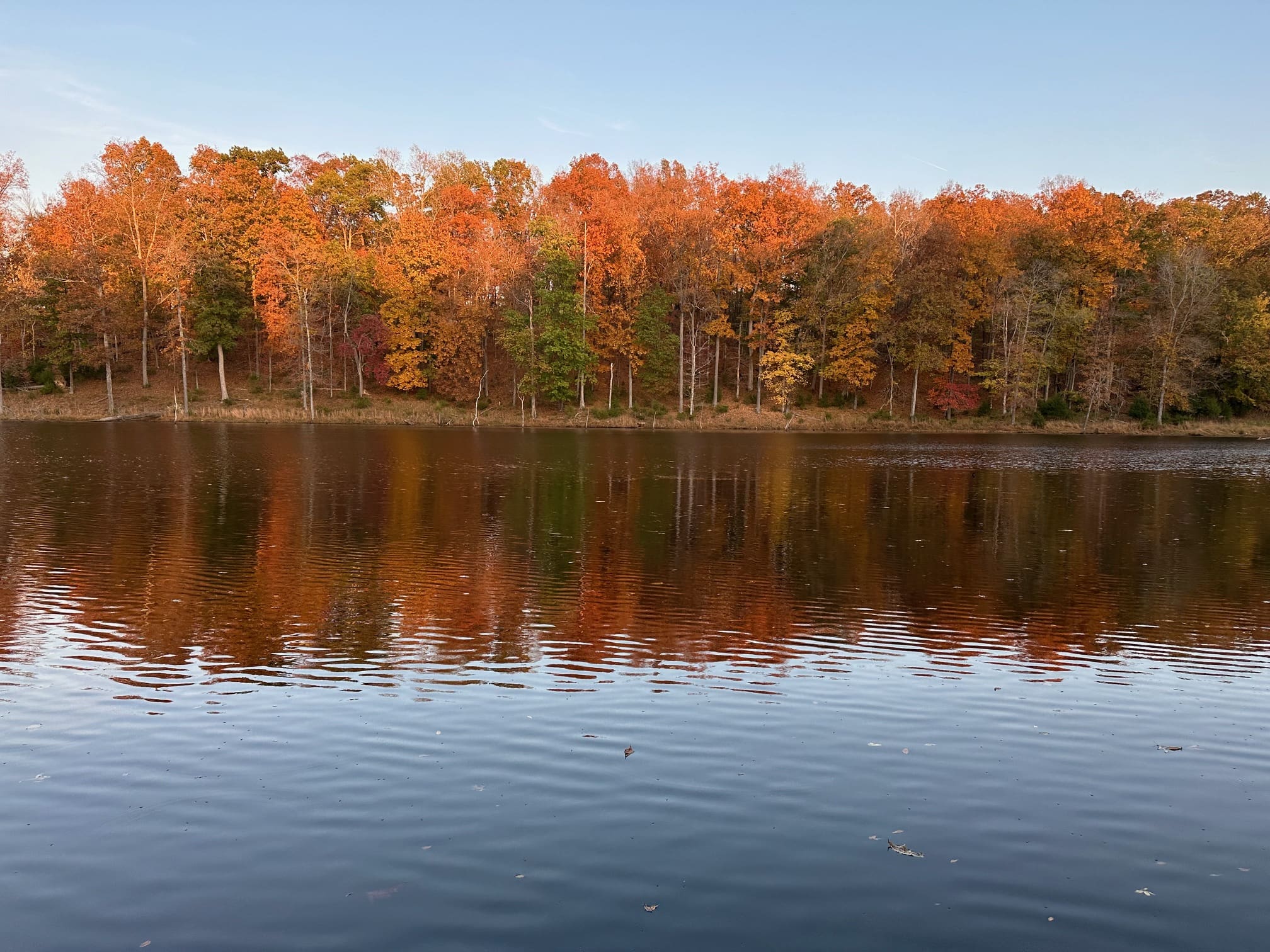 autumn trees over a lake on knight and hale farm in cadiz, kentucky buying acreage in kentucky featured image