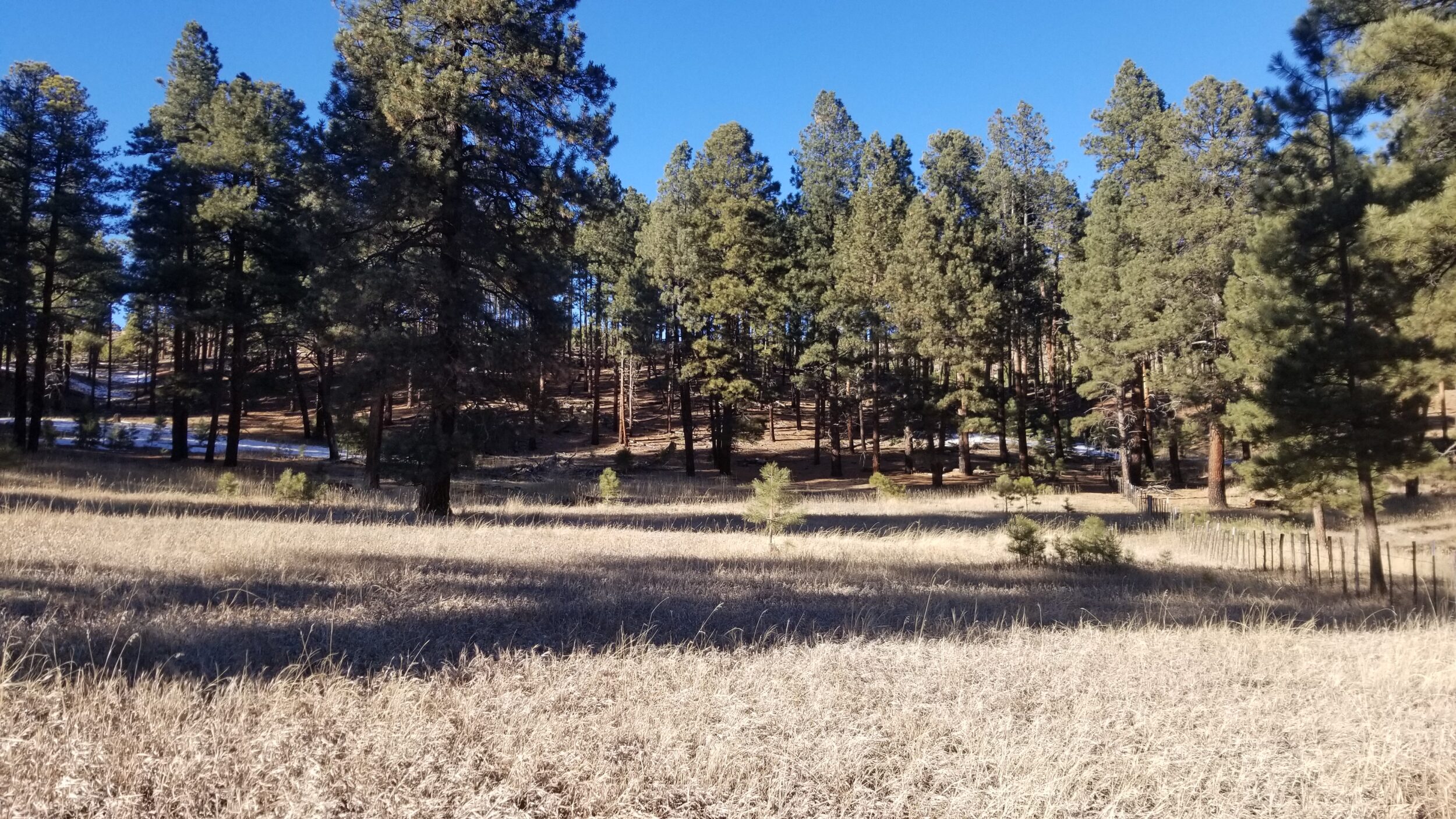 Square Pines Ranch Tall Pines Ranch | Hayden Outdoors