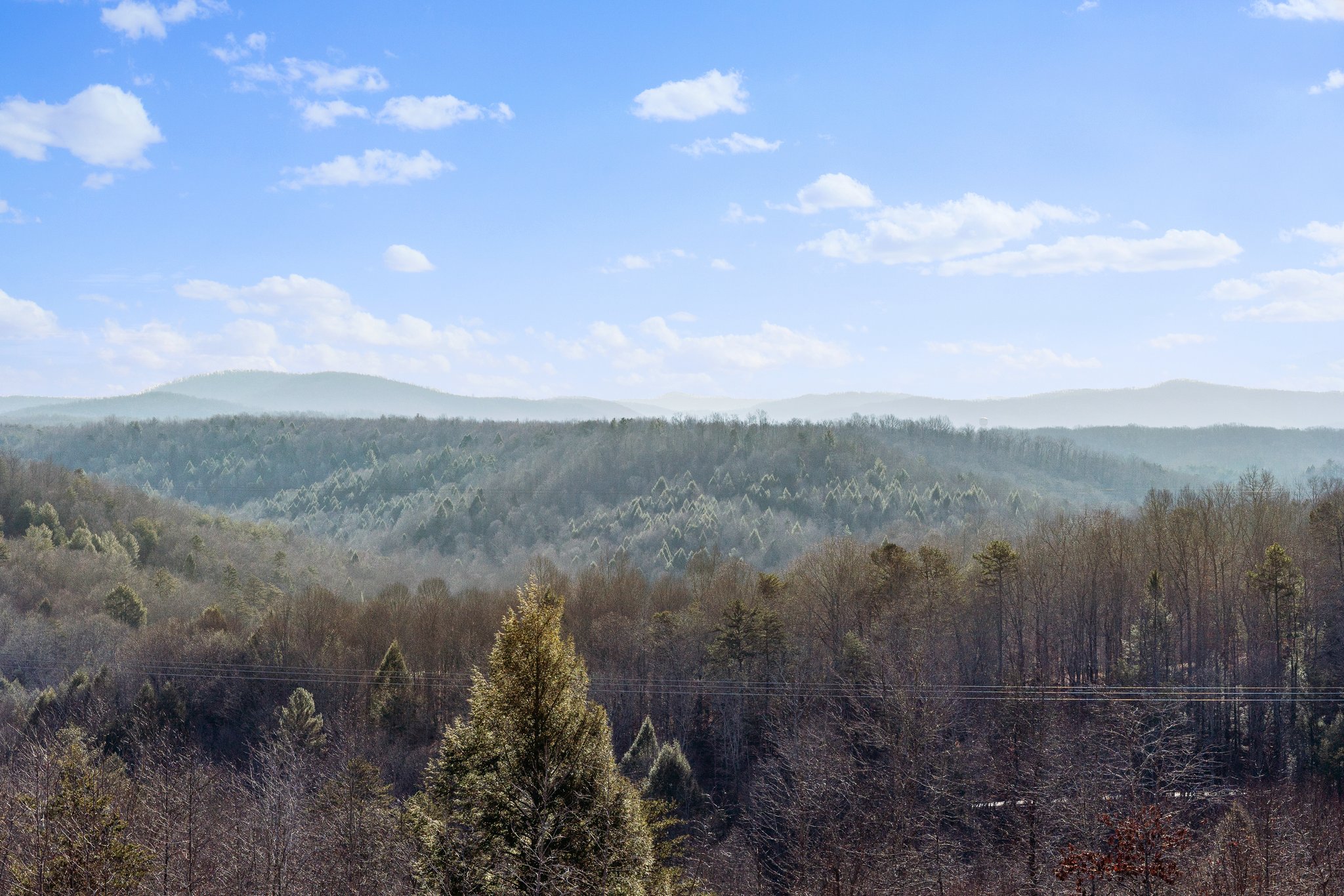 The Cumberland Mountains shrouded in mist at <strong><a href="https://www.haydenoutdoors.com/land-for-sale/1824-kingtown-road-with-460-acres/" target="_blank" rel="noopener">1824 Kingtown Rd</a></strong> in Strunk, KY.