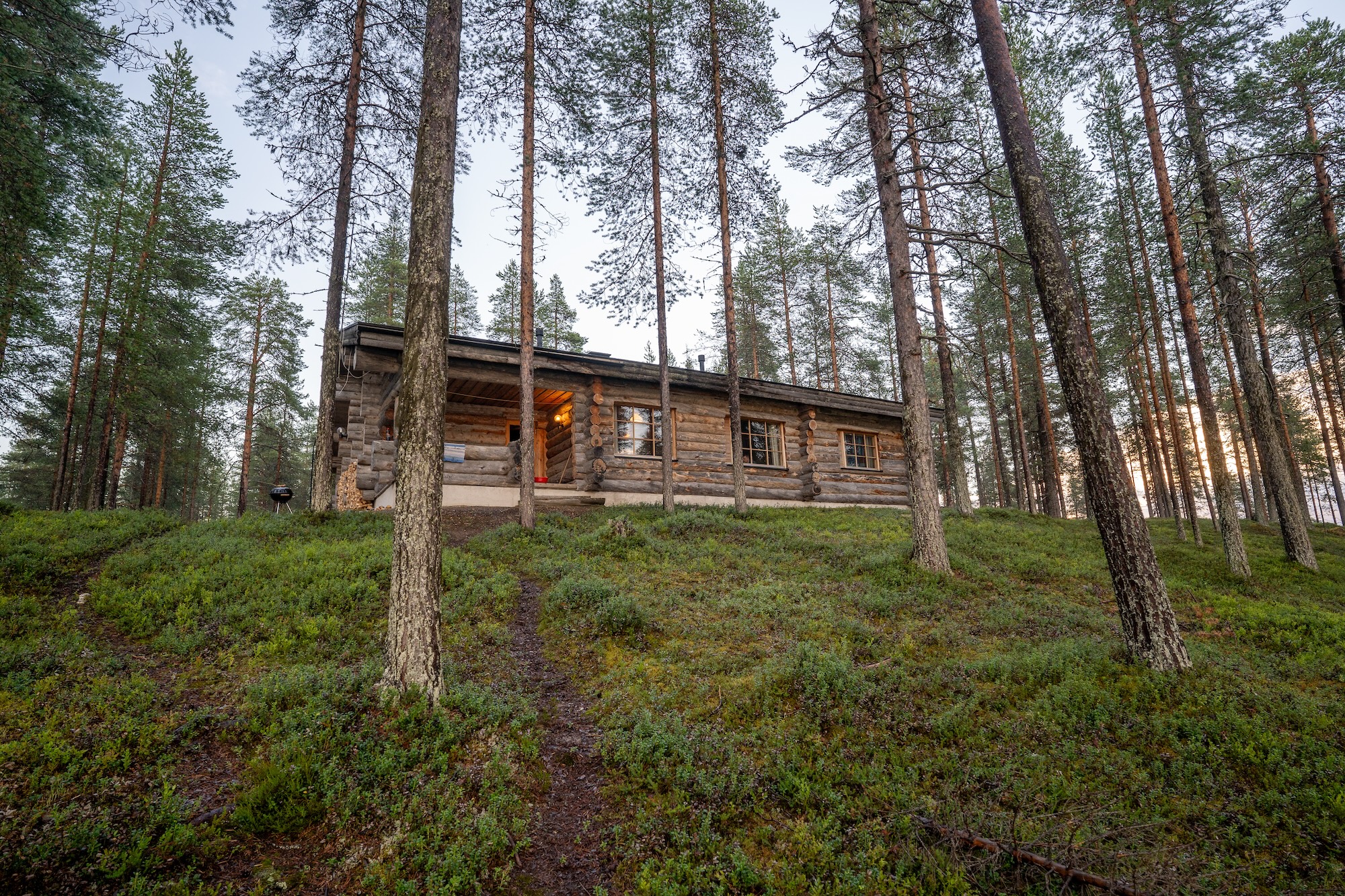 Log cabin in the forest