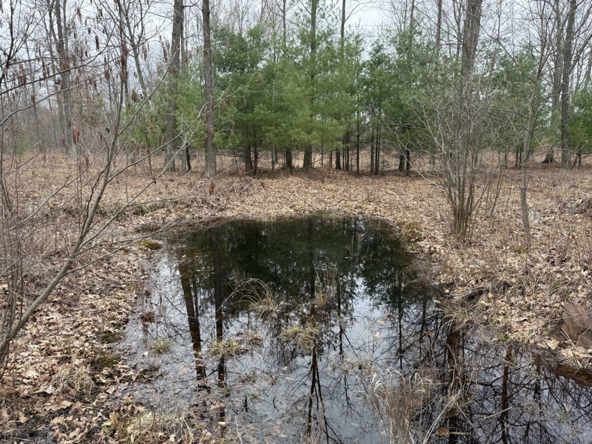 Lutz 80 Hayden Outdoors