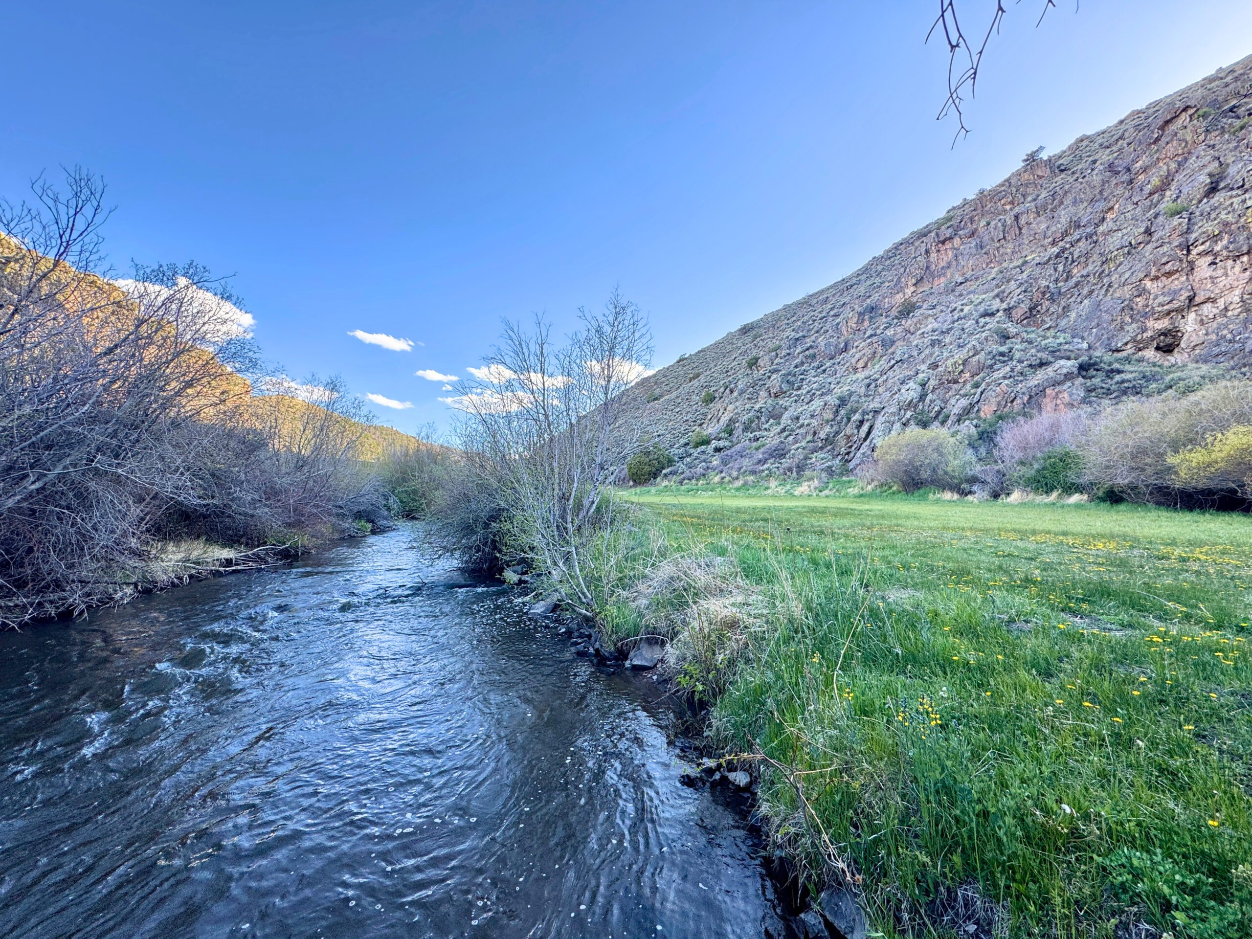 Y88 Ranch on the Cochetopa | Hayden Outdoors