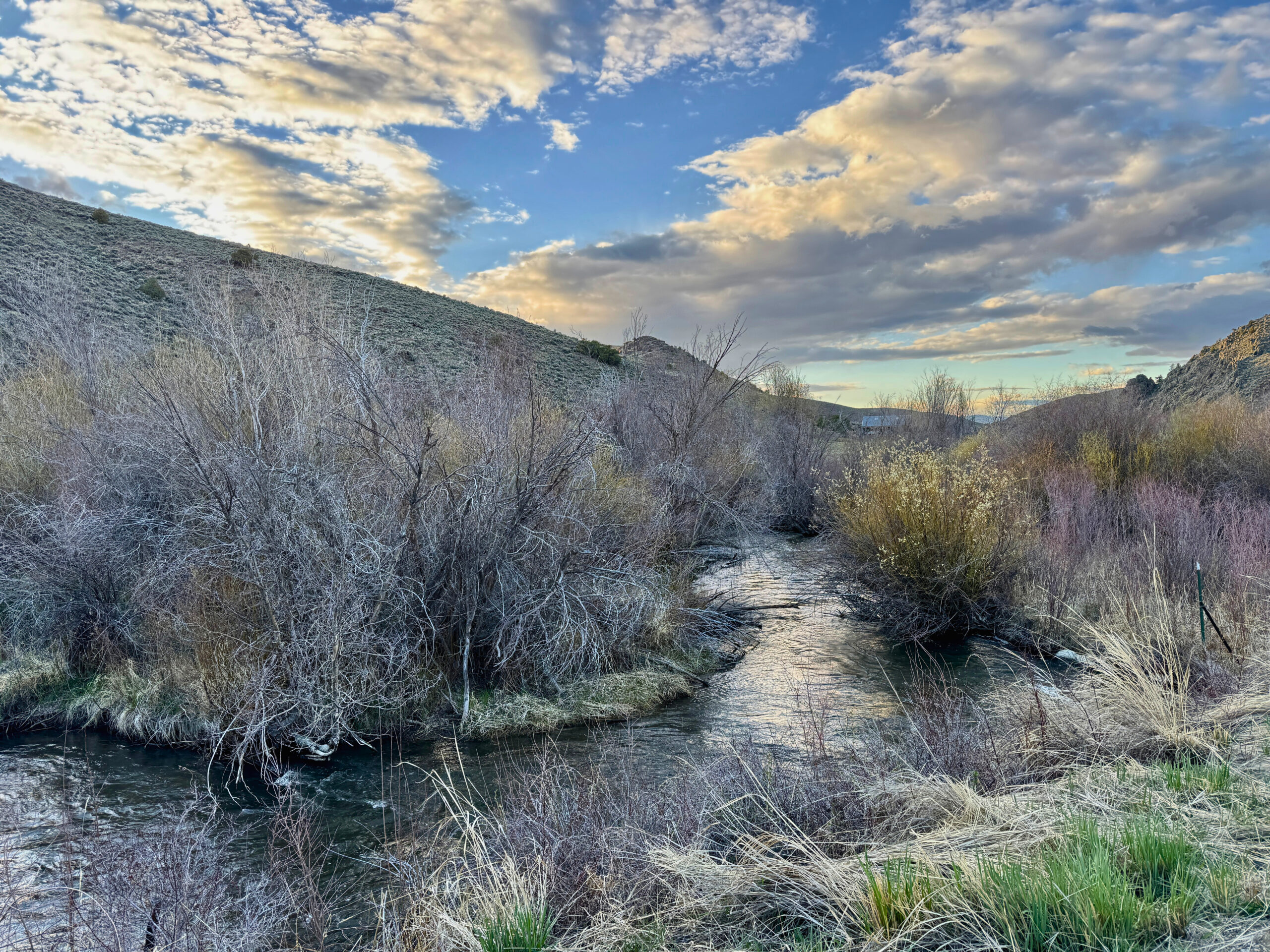 Y88 Ranch on the Cochetopa | Hayden Outdoors