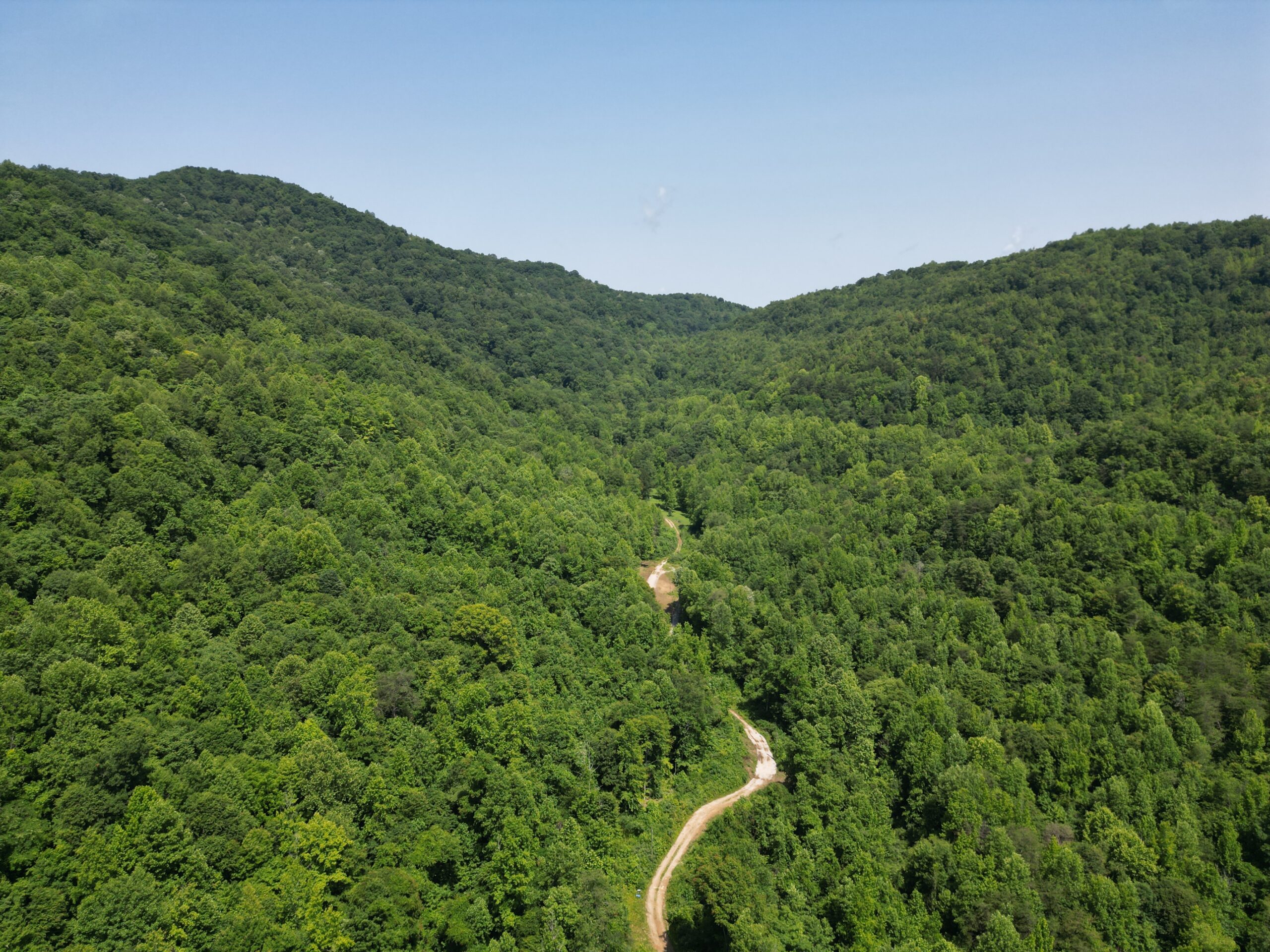 Adams Branch 45 +/- | Hayden Outdoors