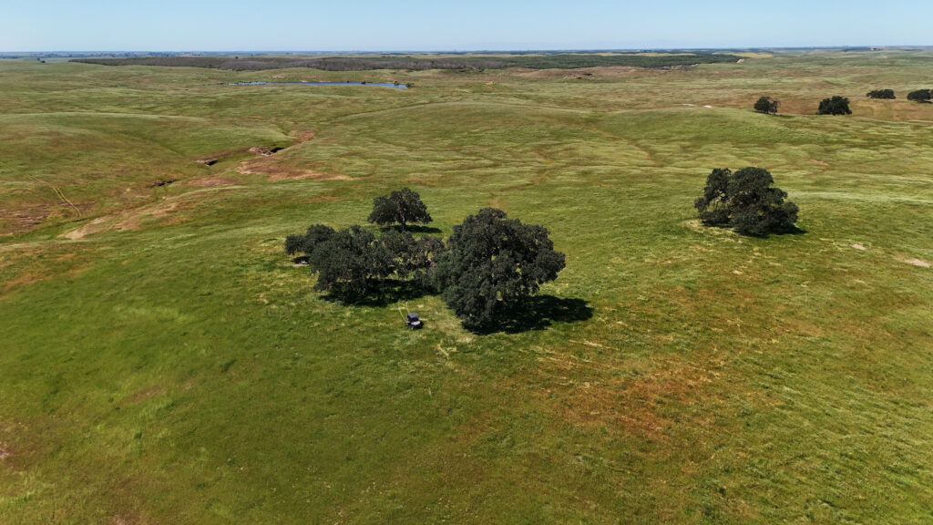 Armstrong Ranch Legacy Armstrong Ranch | Hayden Outdoors