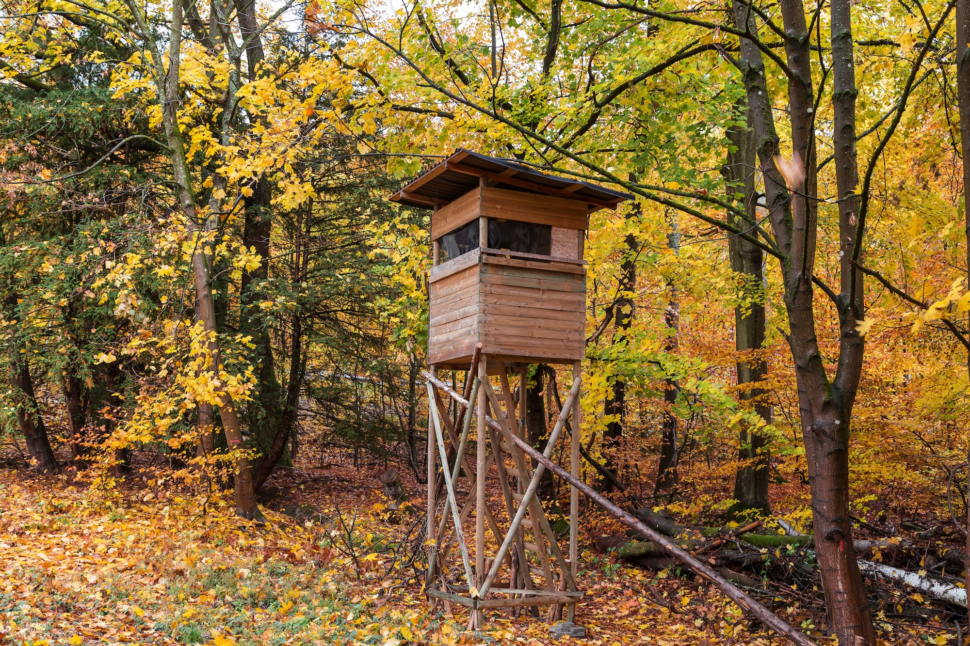 Raised blind in a forest for hunting.
