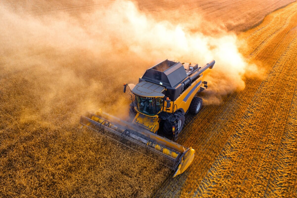The combine harvests wheat. Aerial view. Wonderful summer landscape. Agricultural fields. prepare to sell farm equipment