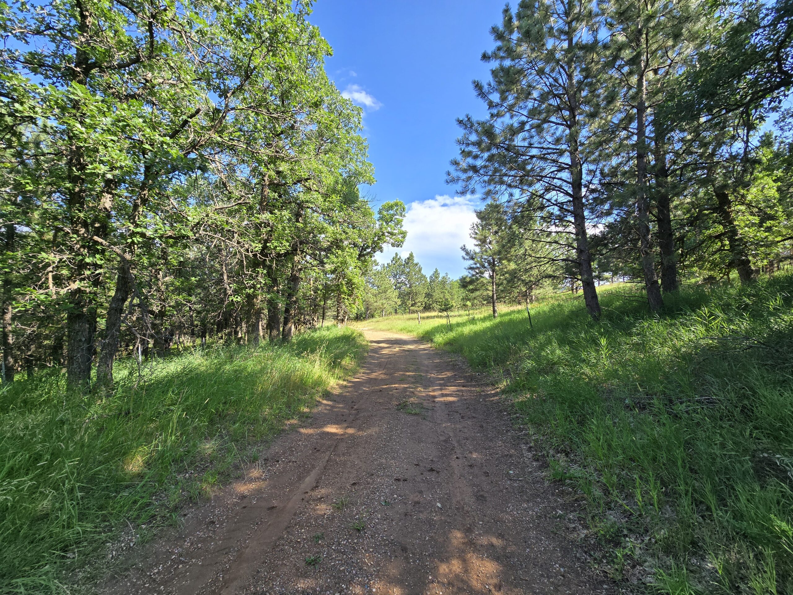 Miller Creek Meadows | Hayden Outdoors