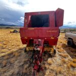 Image of New Holland 654 Baler - nascontentlivehaydenoutdoorswp-contentuploads202508IMG_3098-1756417863.jpg