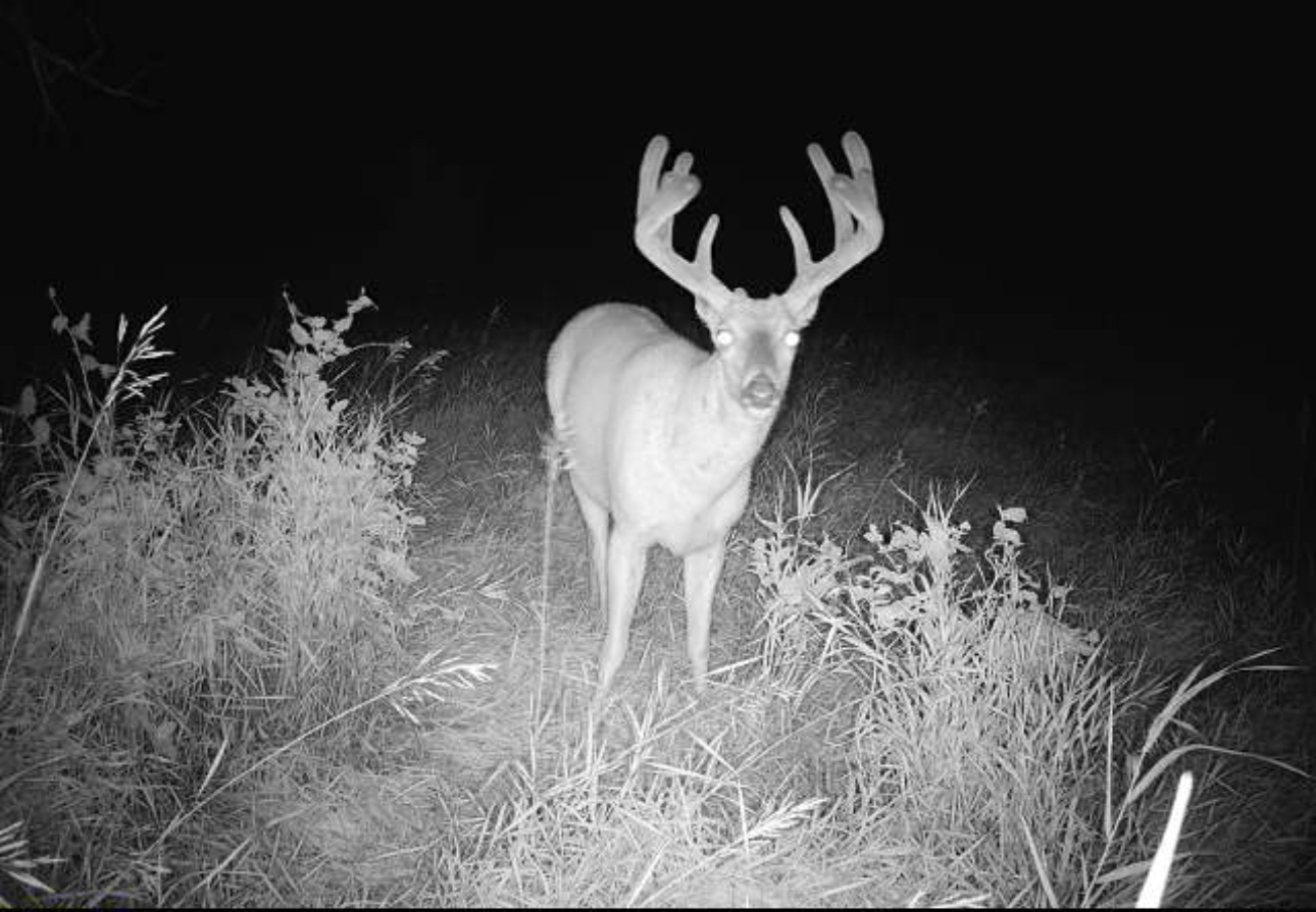 Decatur CRP and Hunt Hayden Outdoors