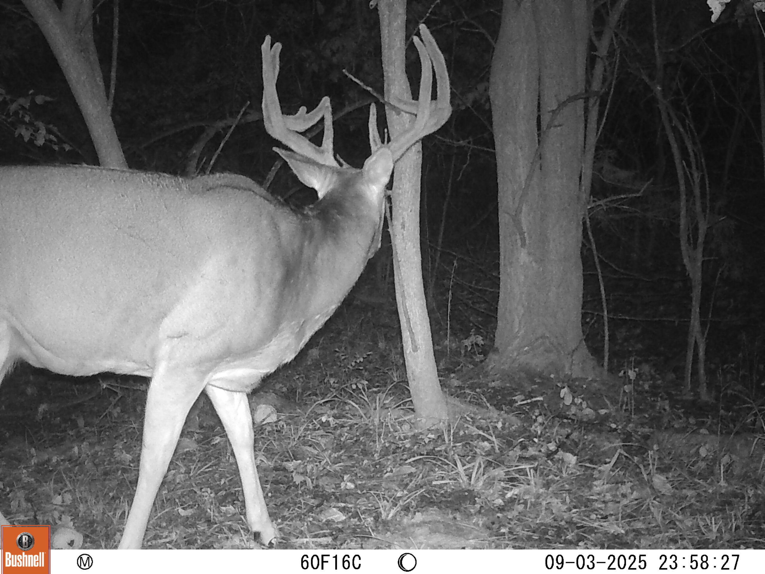 Pleasant Grove Farmhouse Hayden Outdoors