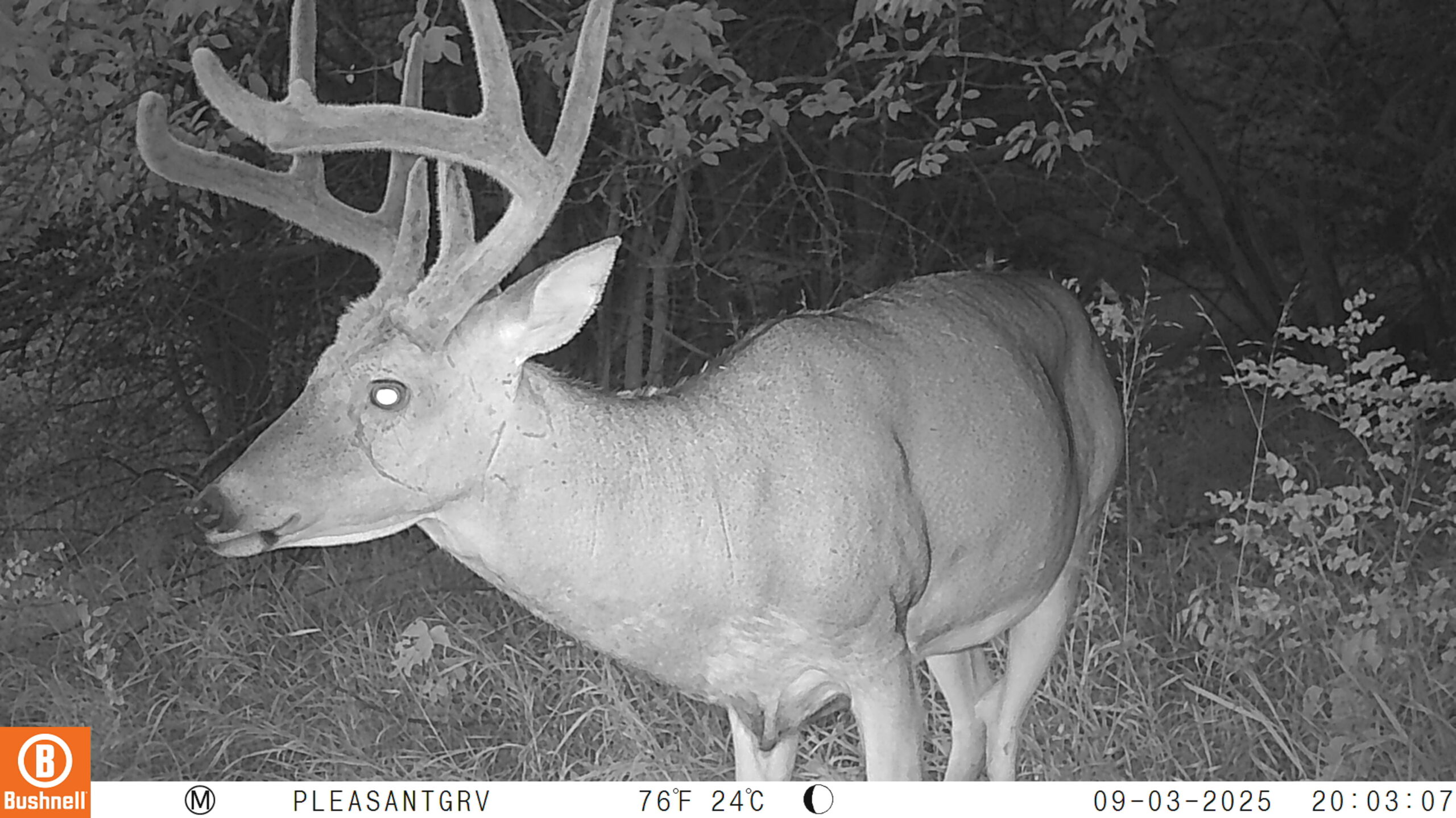 Pleasant Grove Homestead Hayden Outdoors