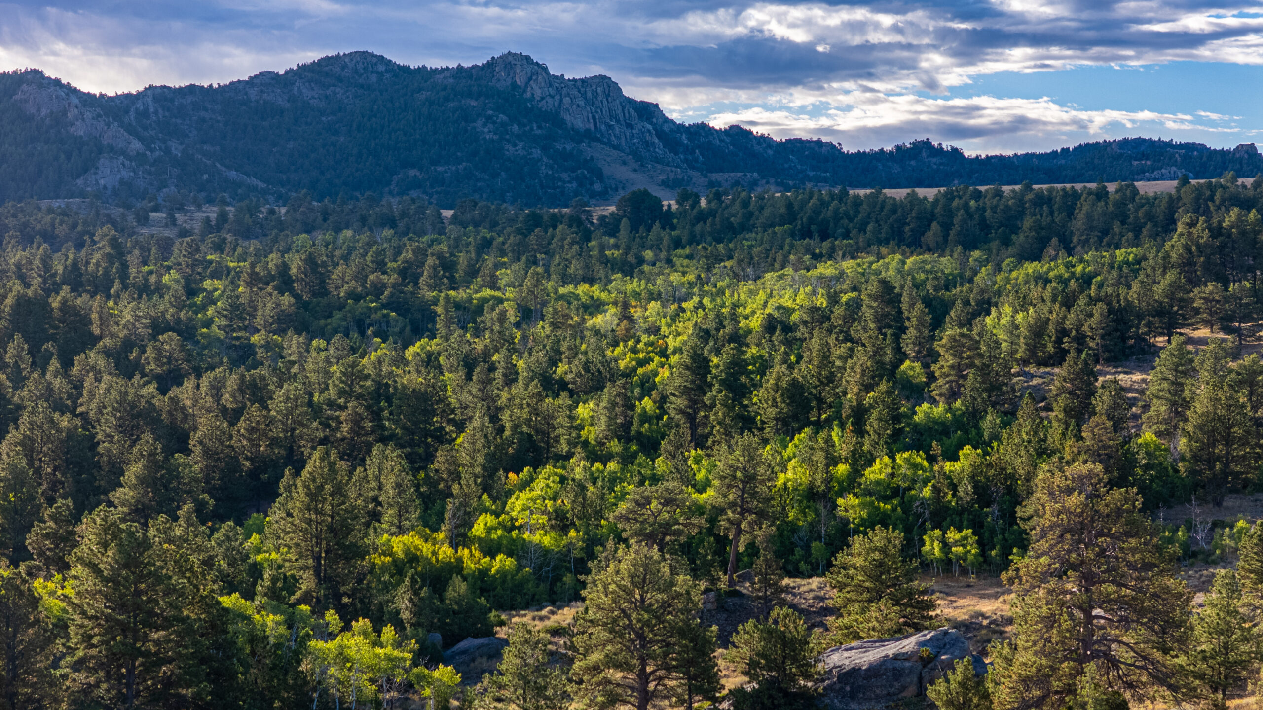 Echo Mountain Ranch Hayden Outdoors