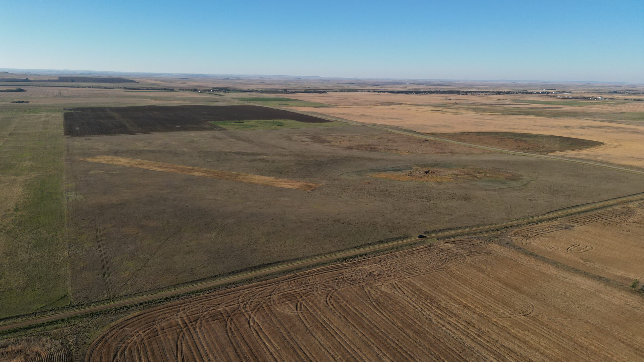 Adams County Pheasant Quarter | Hayden Outdoors