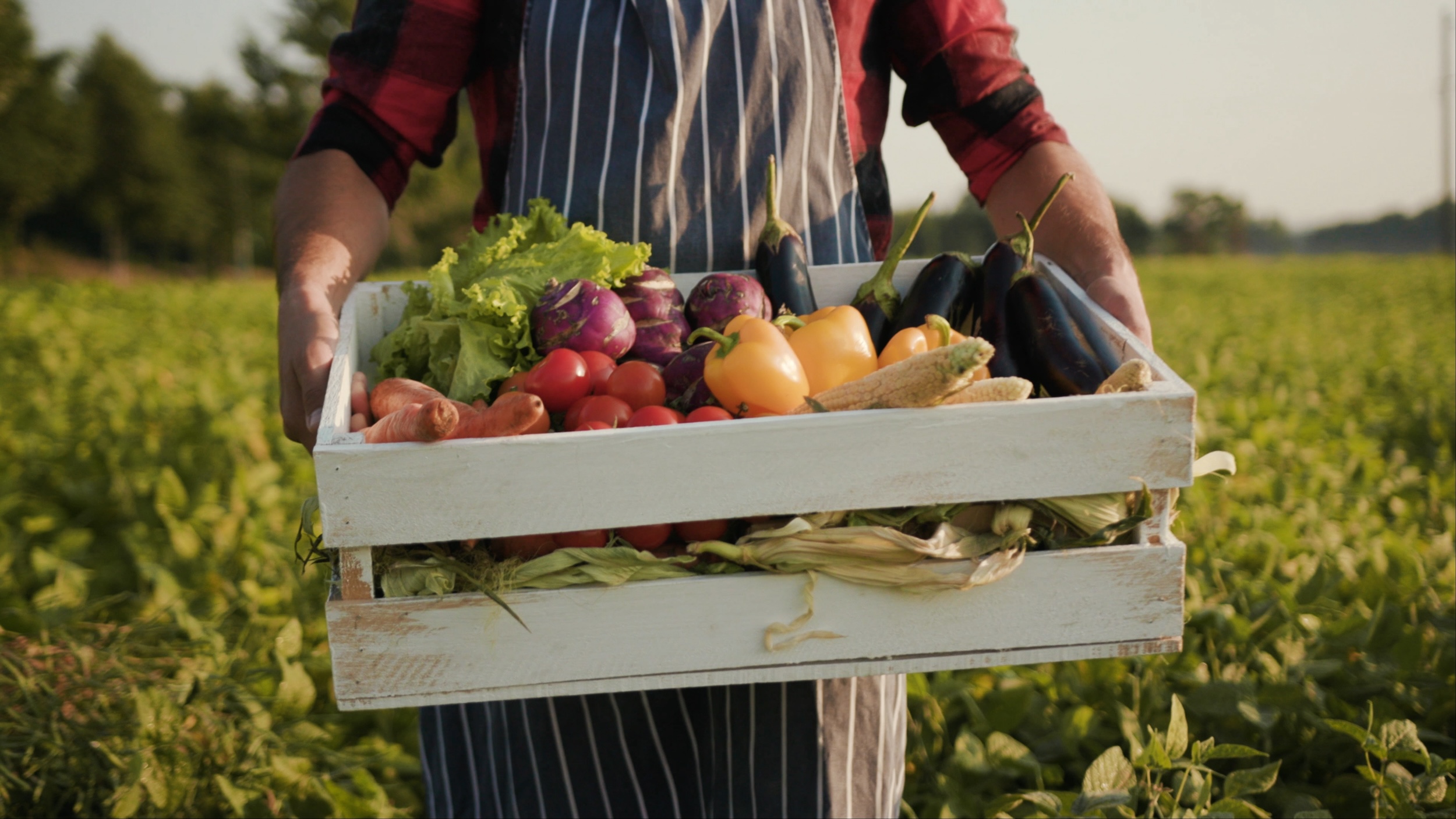 man holding a basket of fresh produce he grew on his hobby farm