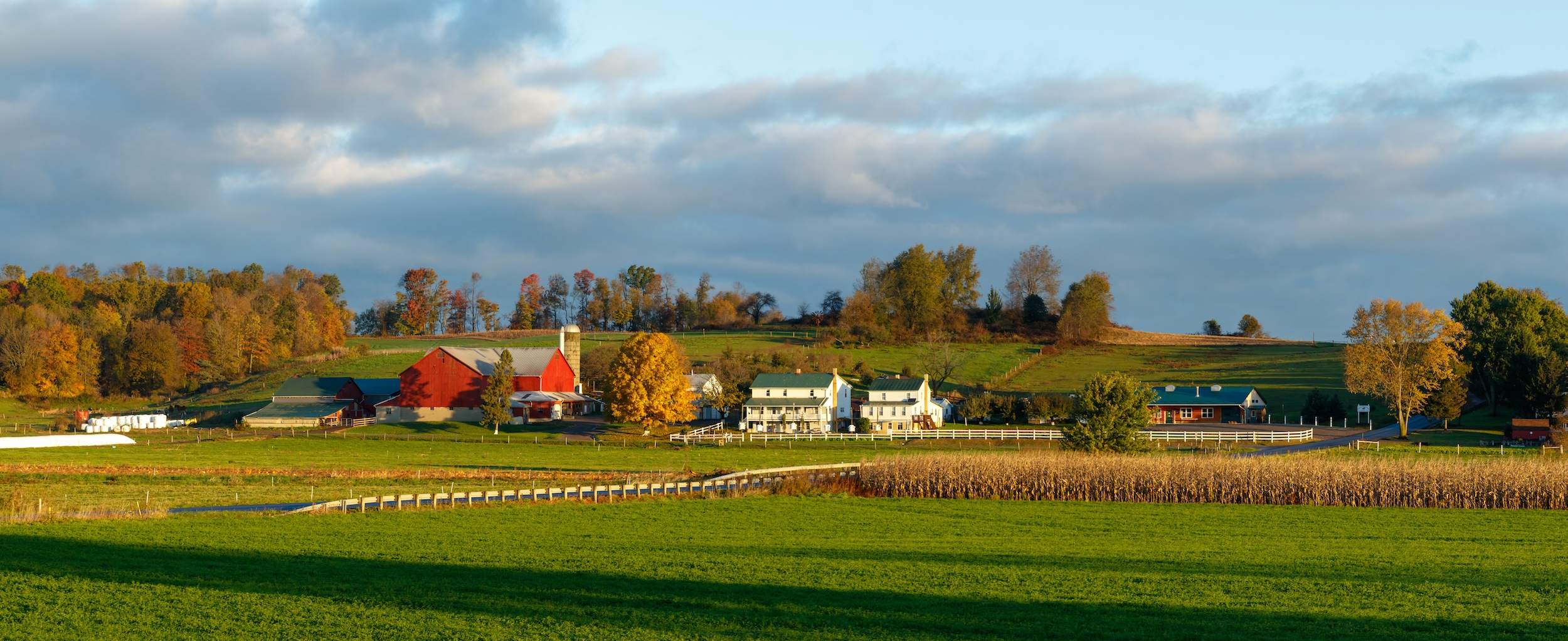 hobby farm with a red barn and rows of corn crop