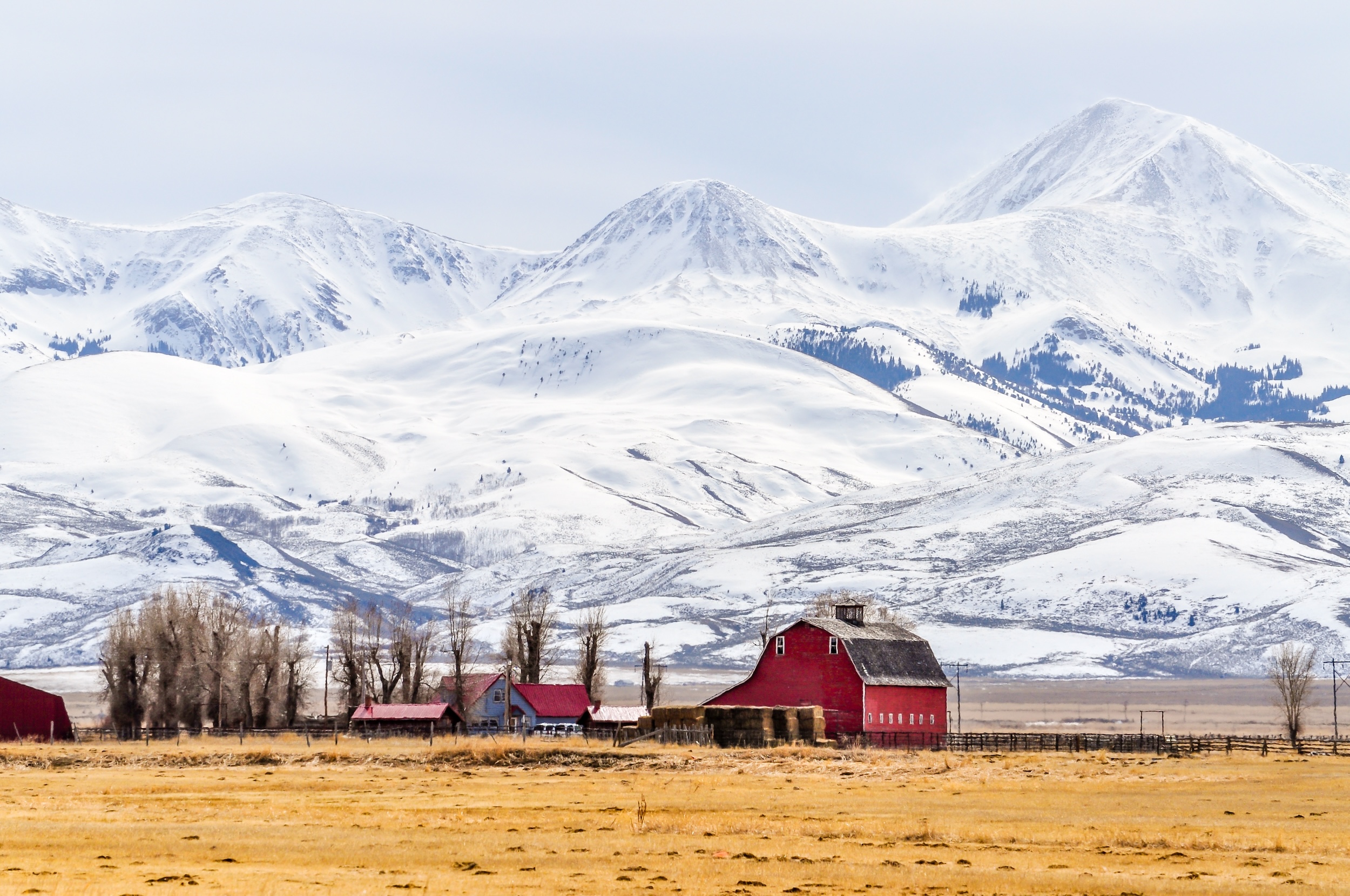 red buildings on an open pasture with snow covered mountains in the background