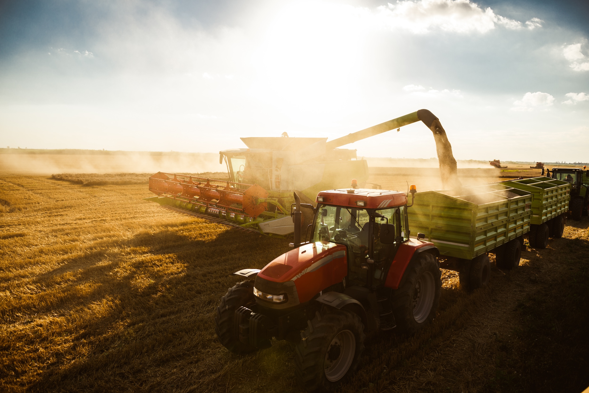 industrial tractor size hauling grain through a field