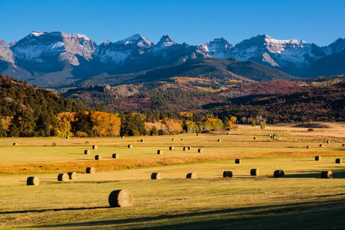 real estate of a CO ranch built because the owner has surface rights with a majestic view of the San Juan mountains dotted with snow in the background