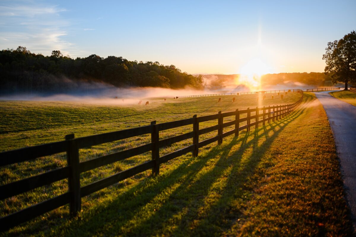 sunset view of agriculture terrain with a picket fence in the. foreground and fog rolling through in the background