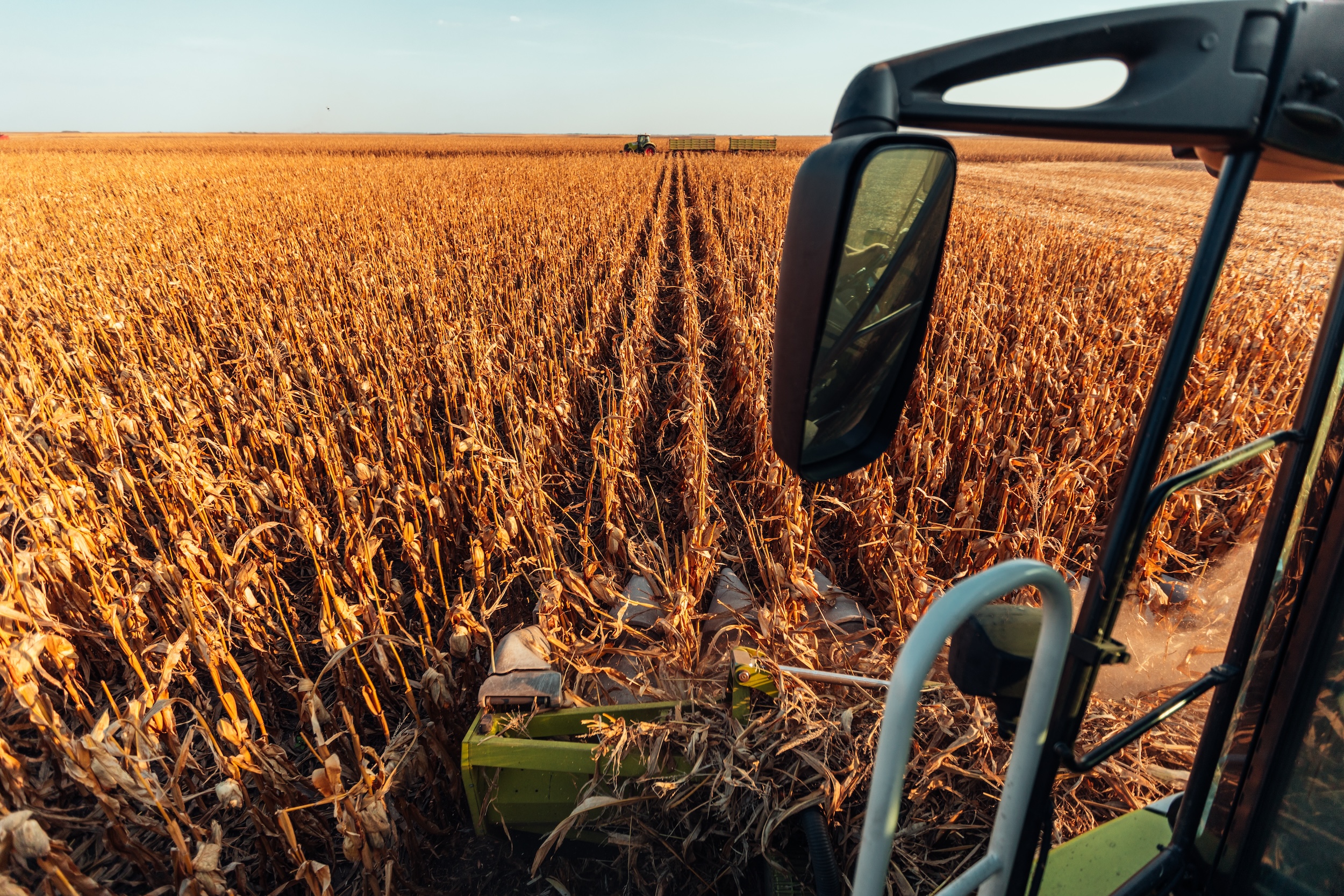 view from outside the cab of a tractor as it harvests rows of crops on a farm
